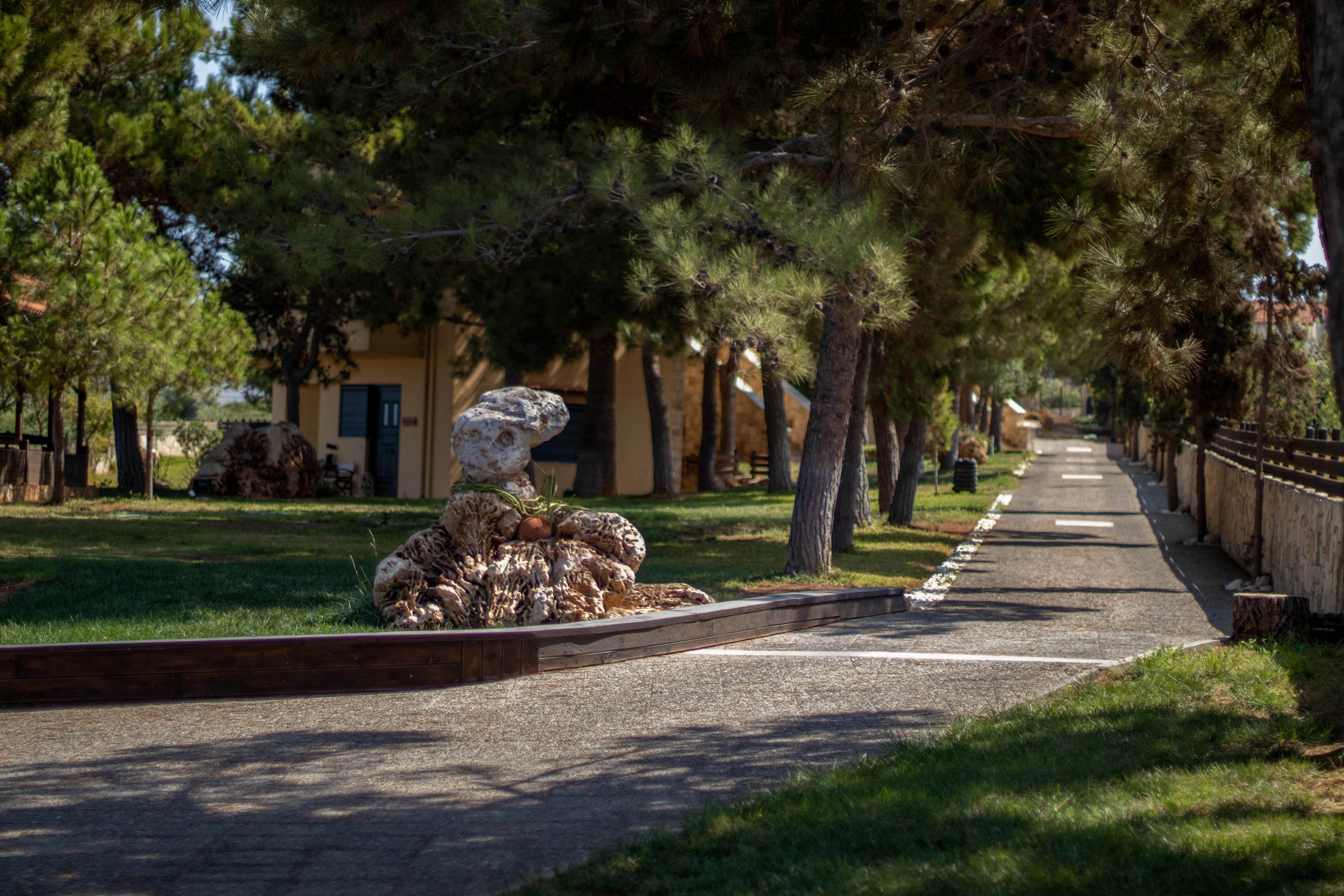 A quiet park scene features a paved pathway lined with tall pine trees and a unique stone sculpture as the focal point. The setting is sunlit, with dappled shadows cast across the walkway and grassy areas. In the background, a yellow building is partially visible, adding a touch of architectural interest. The overall mood is peaceful and inviting, ideal for a leisurely stroll.