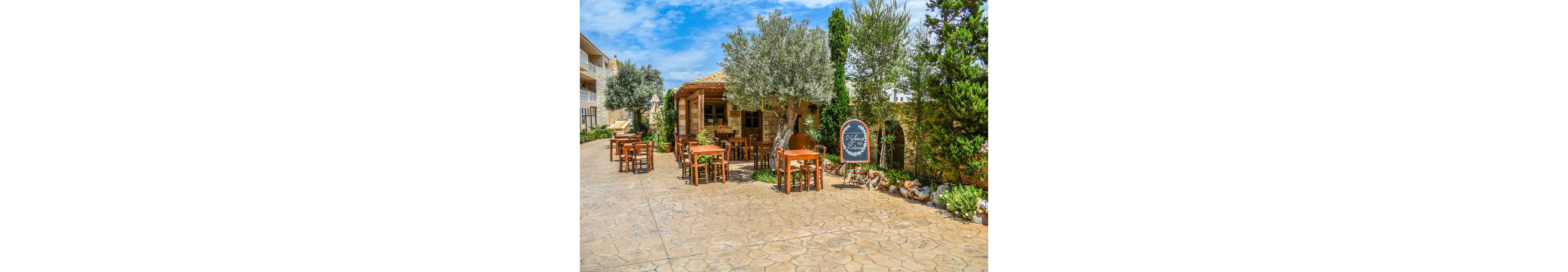 A charming outdoor café features rustic wooden tables and chairs set beneath leafy olive trees. The stone building and paved courtyard evoke a Mediterranean village atmosphere, with a chalkboard sign displayed near the entrance. The setting is bright and sunny, with lush greenery and a relaxed, inviting mood.