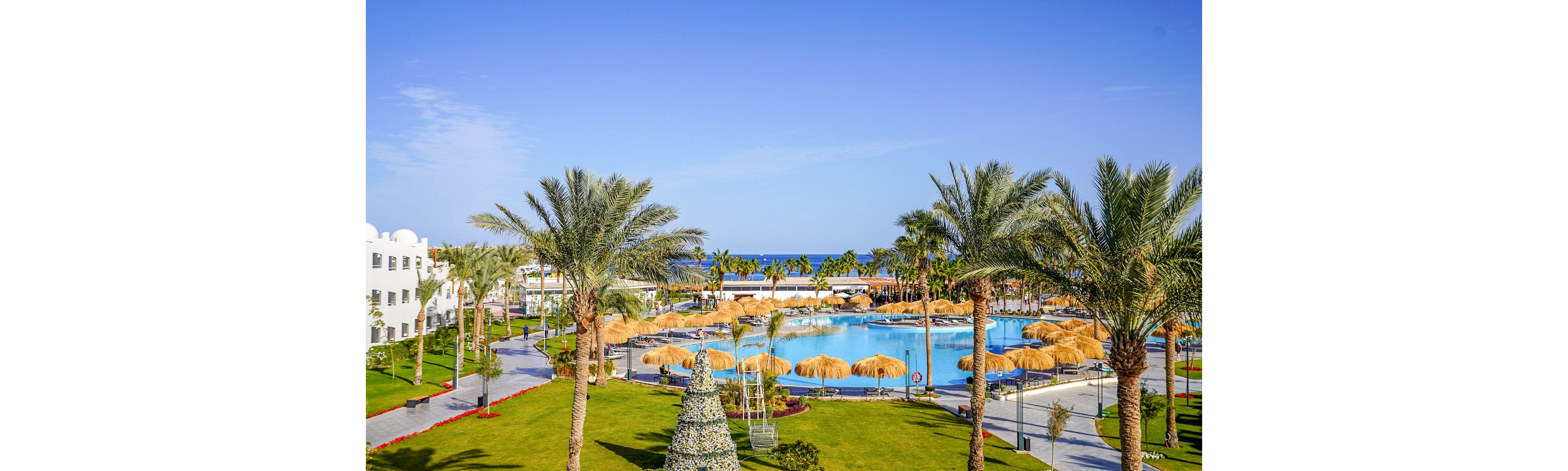 A large resort swimming pool is surrounded by tall palm trees and straw parasols under a clear blue sky. White hotel buildings line the left side, while pathways and manicured lawns lead around the pool area. In the foreground, a decorative cone-shaped structure suggests a festive or holiday season. The distant view shows more greenery and the blue sea on the horizon, creating a bright and relaxing vacation atmosphere.
