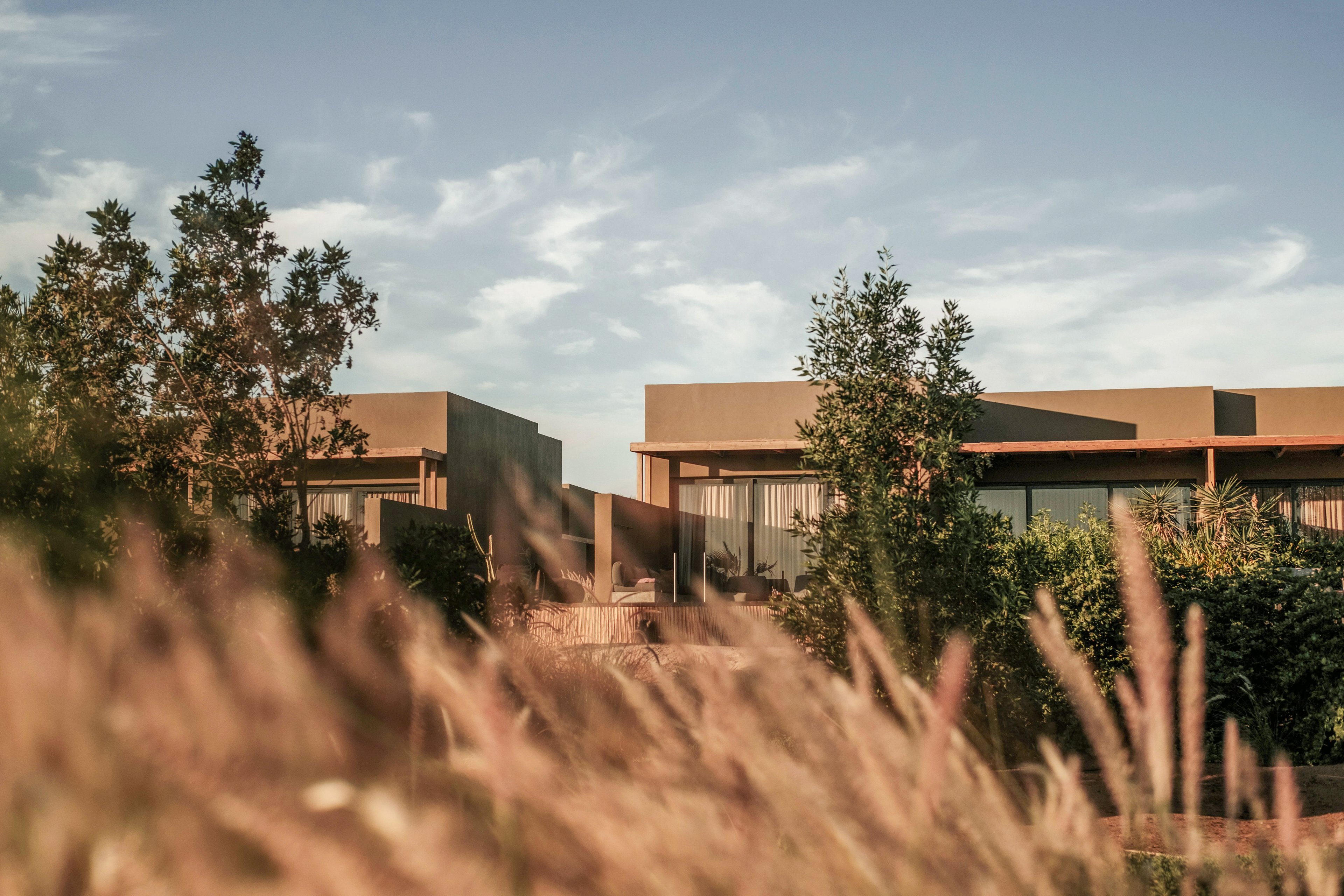 A pair of modern, minimalist homes with clean lines and large windows are surrounded by lush greenery. The scene is set against a clear sky with soft, warm lighting, creating a serene and inviting atmosphere. Tall grass in the foreground adds depth and a natural touch to the composition.