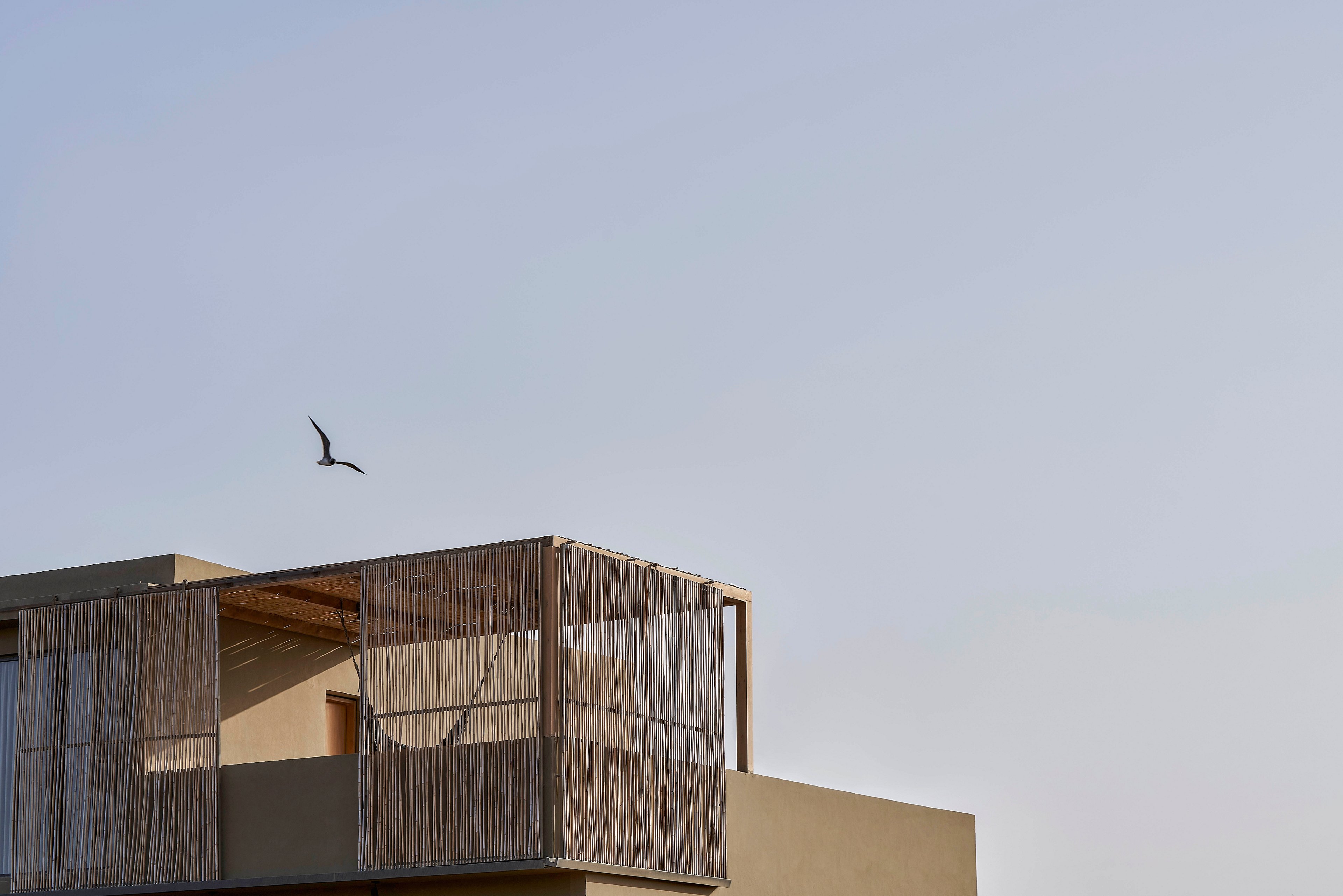 A contemporary house featuring minimalist architecture and wooden panel accents on the balcony. The setting is outdoors under a clear blue sky, with a bird gracefully flying nearby. The design emphasizes simplicity and natural materials.