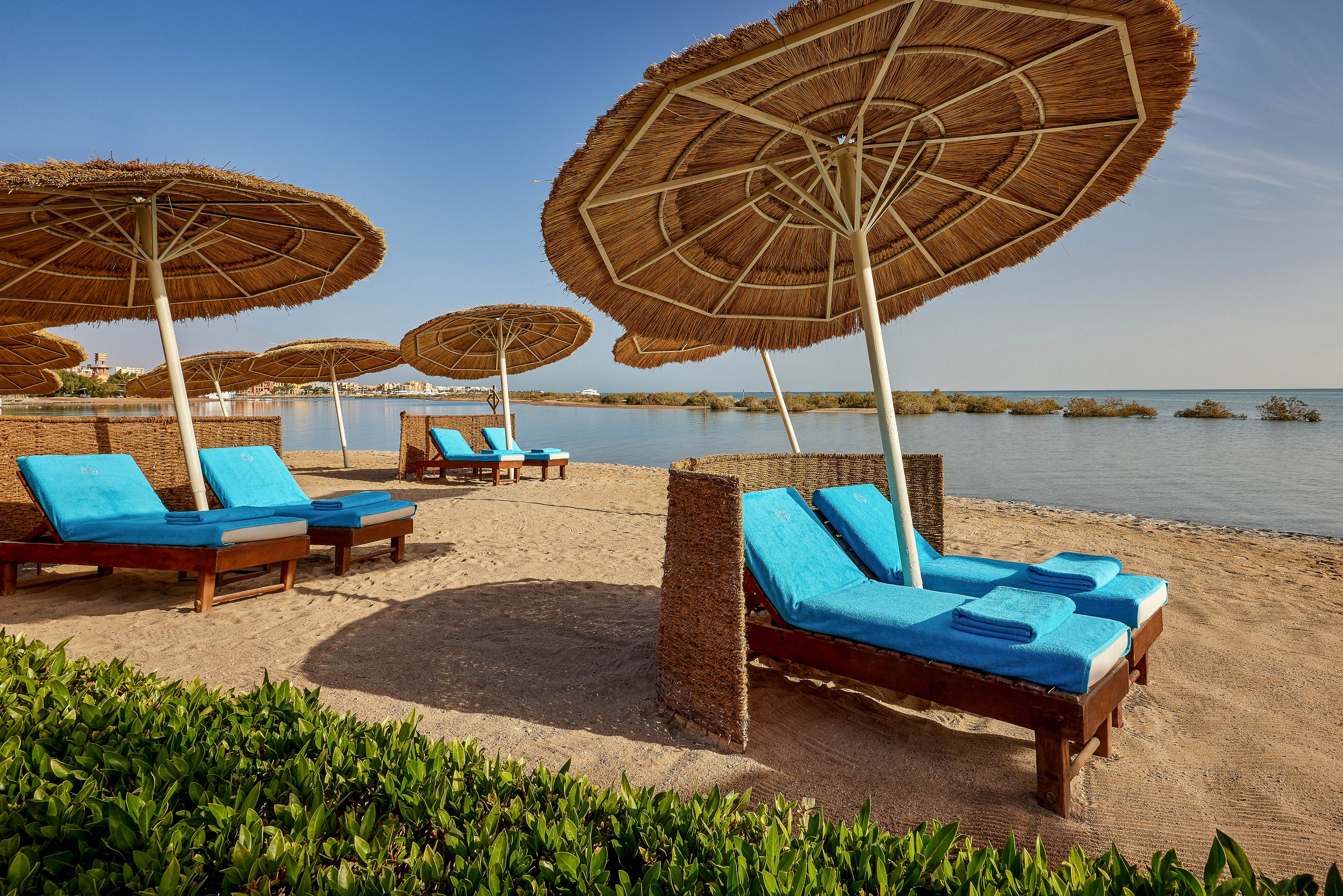 A serene beach setting featuring wooden lounge chairs with bright blue cushions under straw umbrellas. The chairs are arranged on sandy ground near calm waters, with greenery in the foreground. The scene evokes relaxation and leisure in a sunny coastal environment.