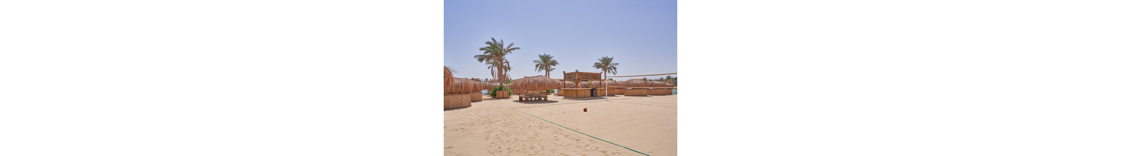 A sandy beach scene features a volleyball court set up under a clear blue sky. Straw-covered huts and wooden structures provide shaded seating areas around the court. Tall palm trees sway in the background, suggesting a tropical or desert resort setting. A colorful volleyball rests on the sand, adding a playful and relaxed atmosphere.
