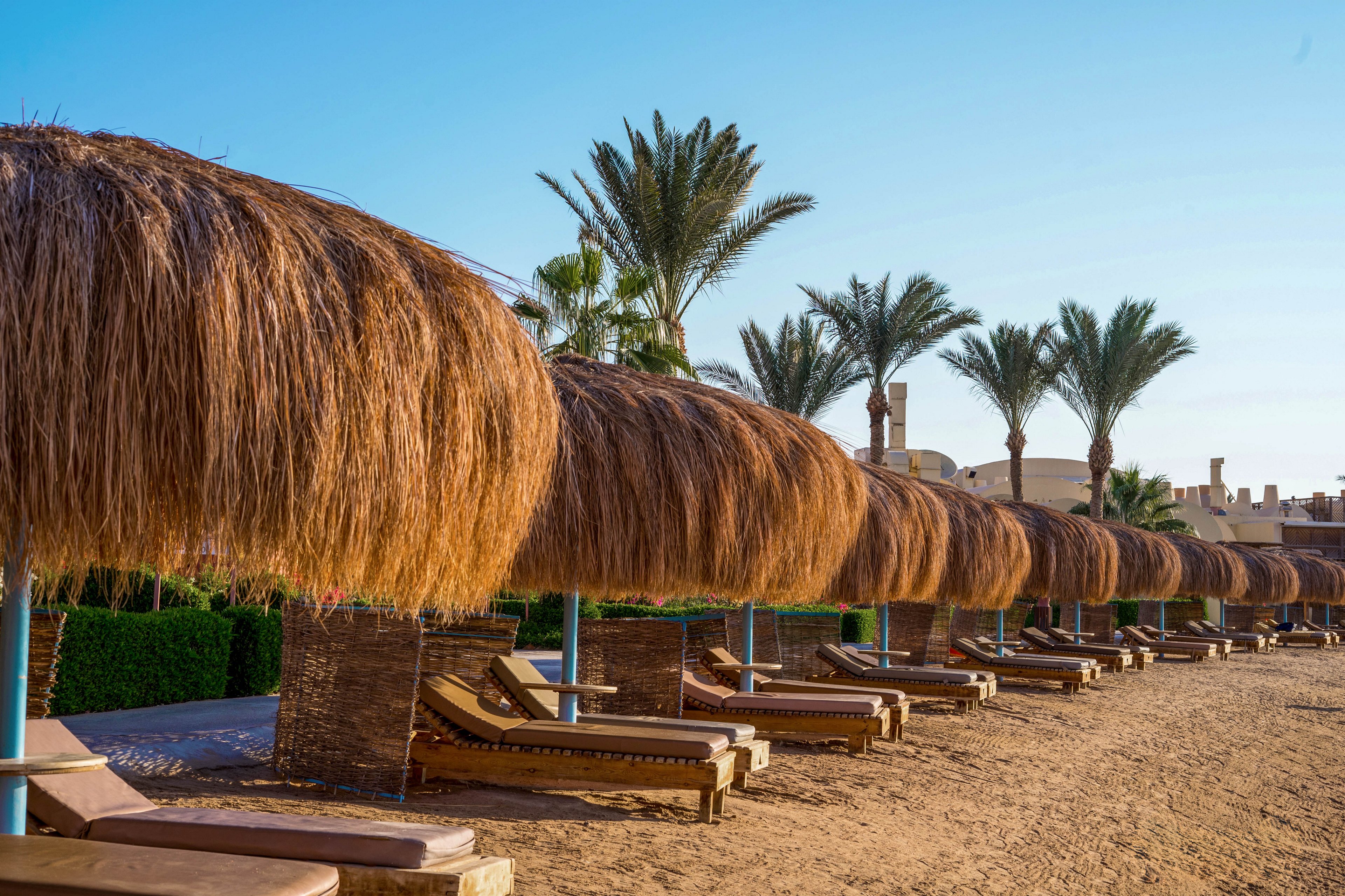 A row of wooden loungers with cushions is arranged under large straw umbrellas on a sandy beach. Palm trees and a clear blue sky create a tropical and serene atmosphere. The setting suggests a relaxing vacation spot or resort area.