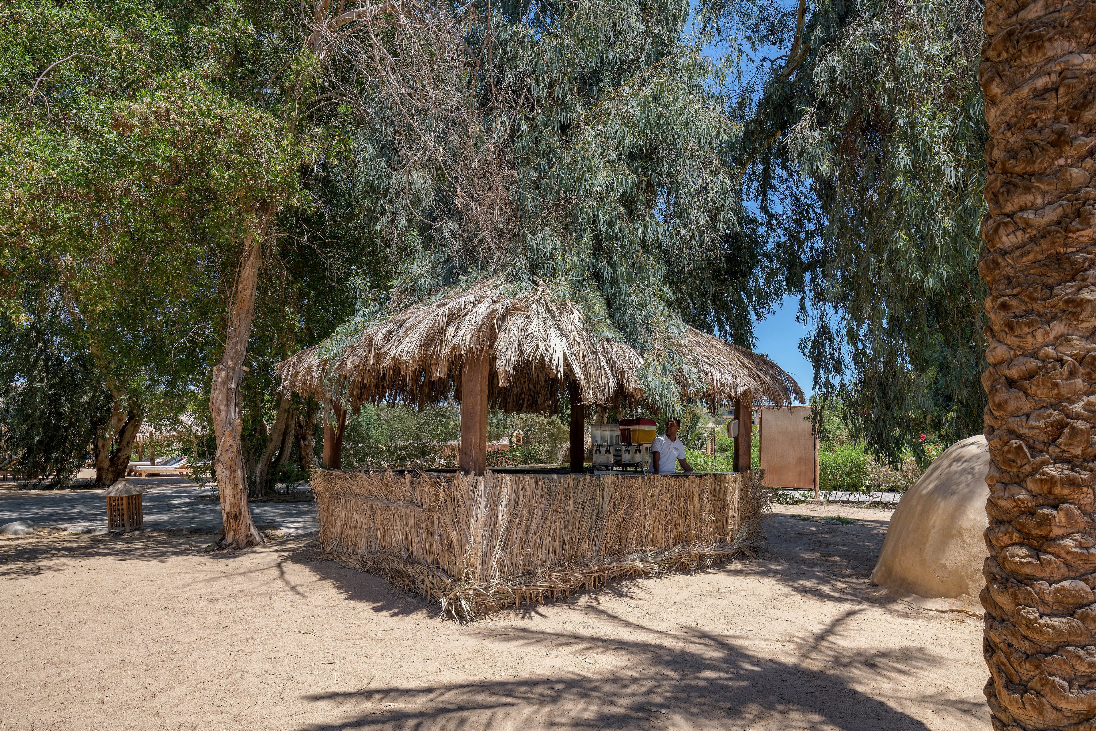 A tropical outdoor bar with a thatched roof is set amidst lush greenery and sandy surroundings. Several people in swimwear are seen enjoying the relaxed atmosphere, engaging with the bartender. The setting evokes a warm, sunny day in a beach-like environment.