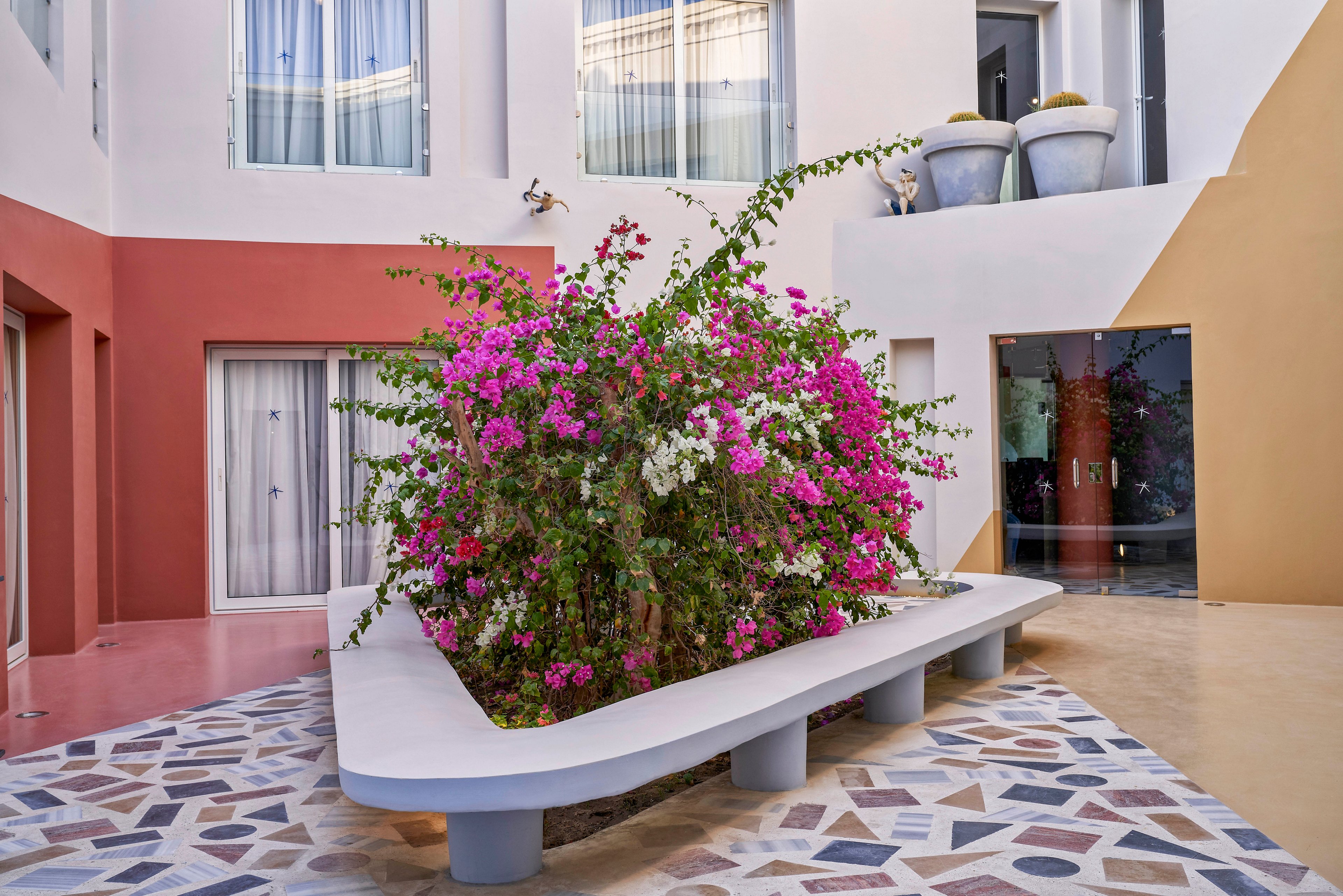 A contemporary courtyard features a large, vibrant bougainvillea bush as its focal point, surrounded by a geometric bench. The setting is defined by colorful walls in muted tones and patterned tile flooring, creating a stylish and inviting atmosphere. Large windows and potted plants add to the modern aesthetic, while natural light enhances the overall mood.