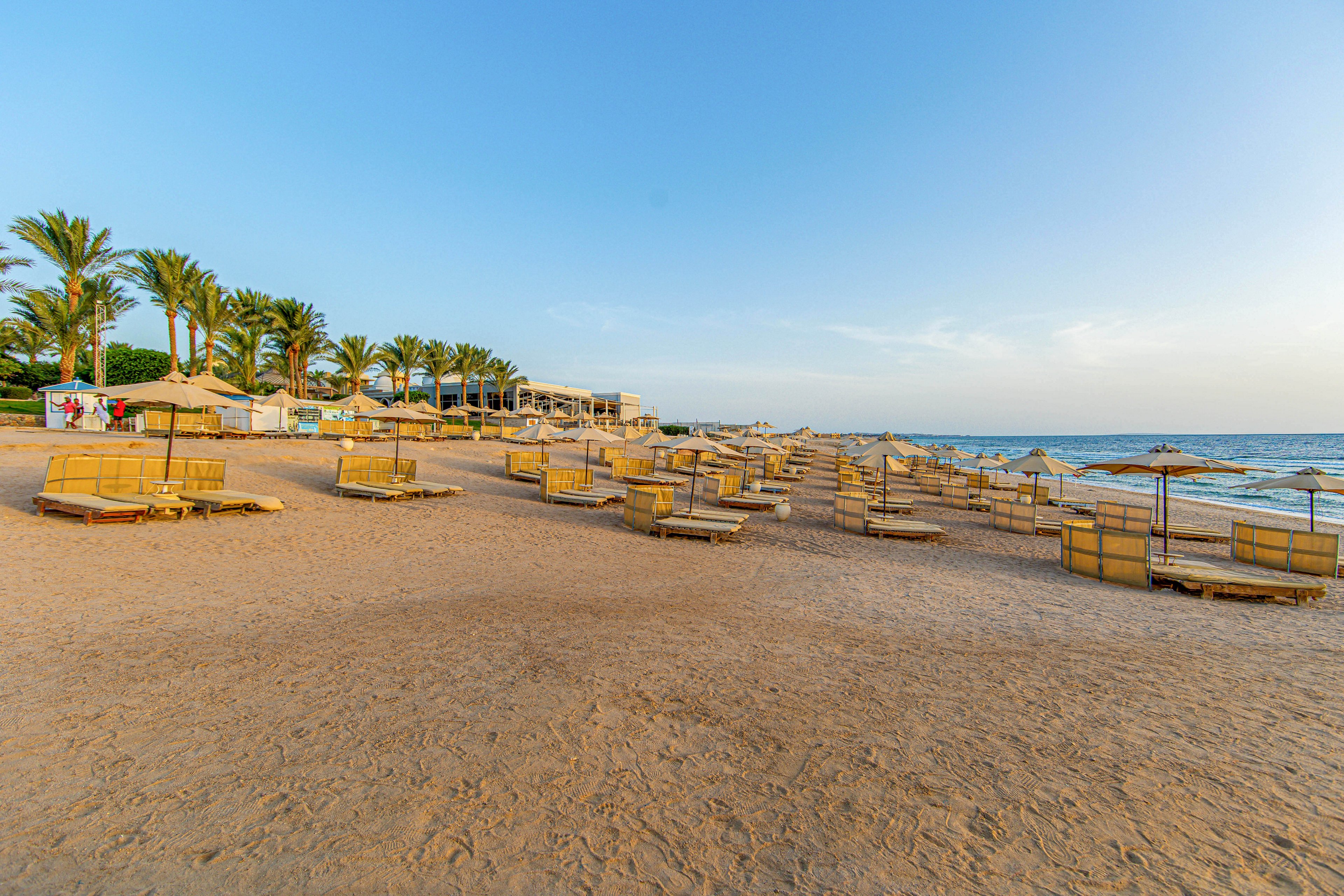 A tranquil sandy beach is lined with rows of empty sun loungers and straw umbrellas, facing the calm blue sea. Palm trees and a few resort buildings are visible in the background under a clear sky. The early morning light casts long shadows, creating a peaceful and inviting atmosphere. No people are present, emphasizing the serene and undisturbed setting.