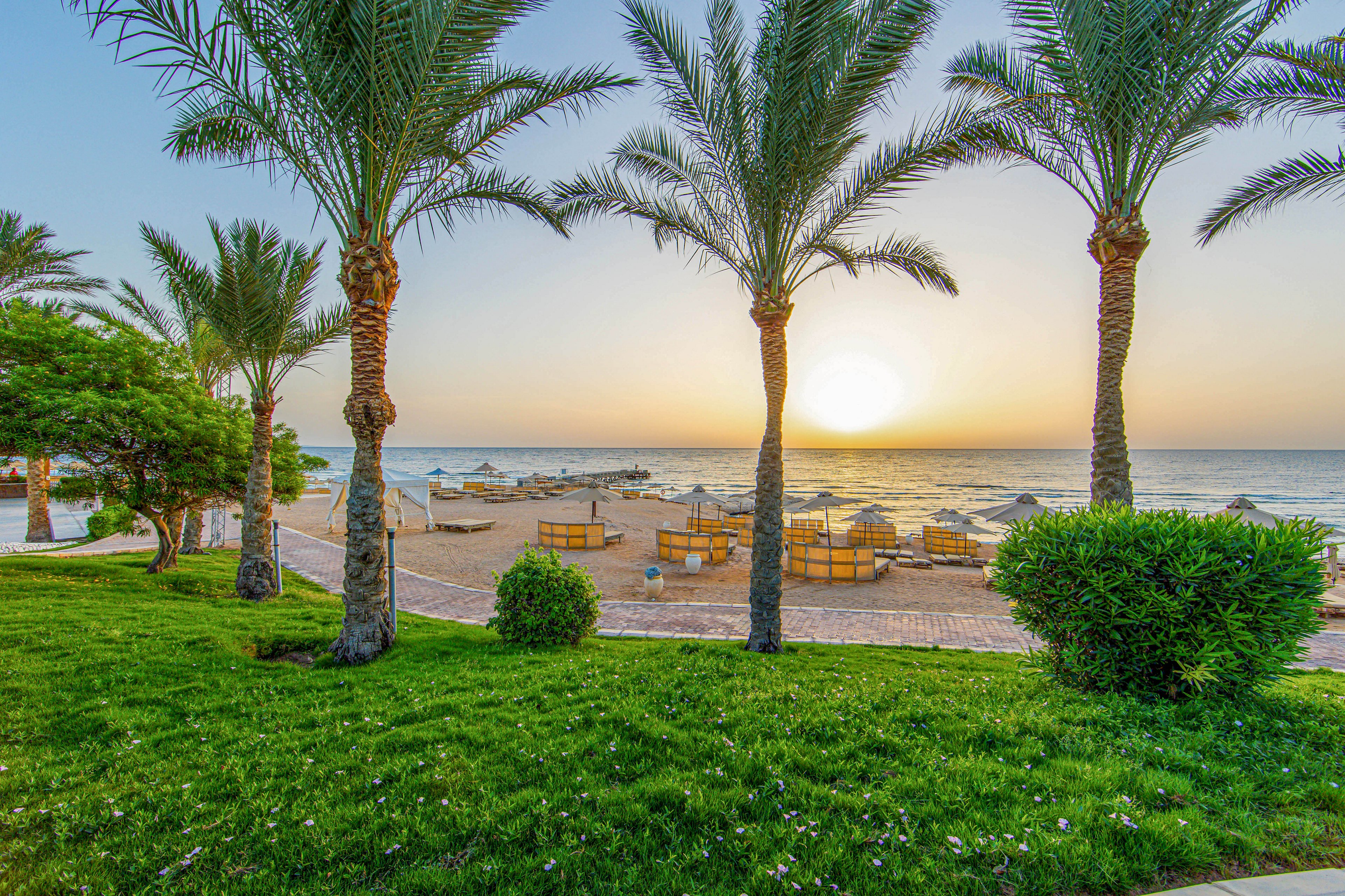 A tranquil beach scene features tall palm trees framing a view of the ocean at sunrise. Lounge chairs and umbrellas are arranged on the sandy shore, inviting relaxation. The lush green grass in the foreground contrasts with the golden sand and calm water. The sky is clear, creating a peaceful and serene atmosphere. No visible text or numbers are present in the image.