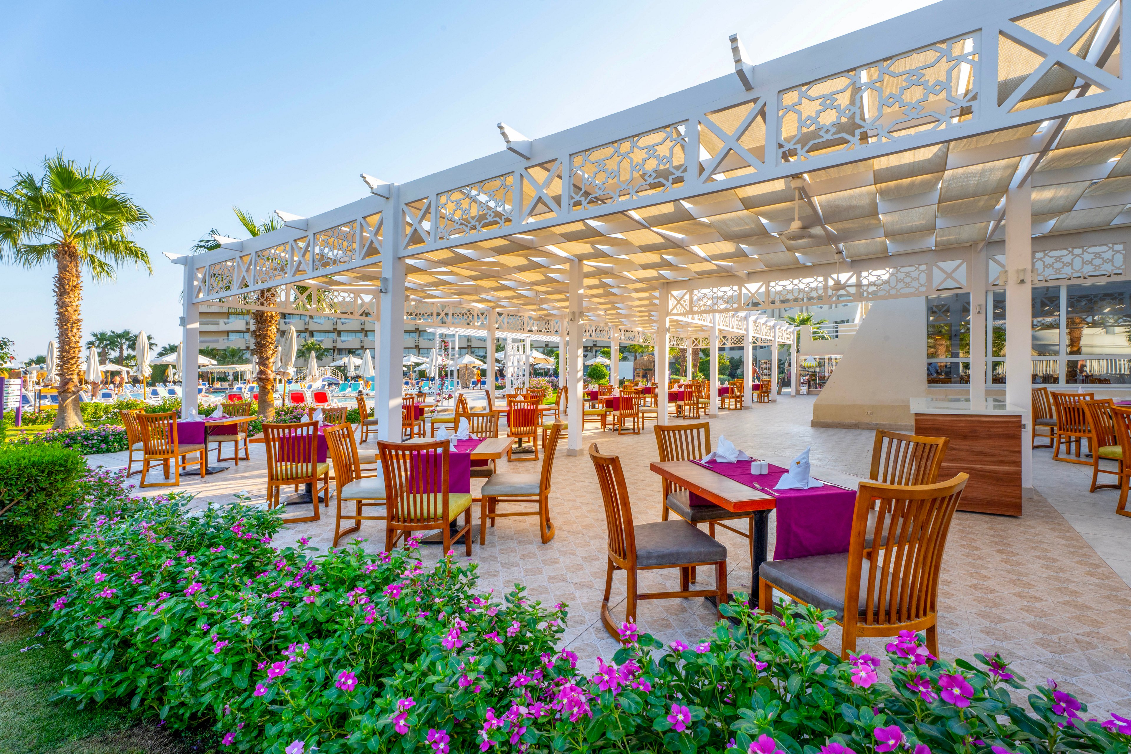 An open-air restaurant patio features wooden tables and chairs arranged under a decorative white pergola. Purple tablecloths add a pop of color, while lush green plants and blooming pink flowers border the seating area. The setting is bright and sunny, with palm trees and a clear blue sky creating a relaxed, inviting atmosphere. No people are present, highlighting the tranquil ambiance.