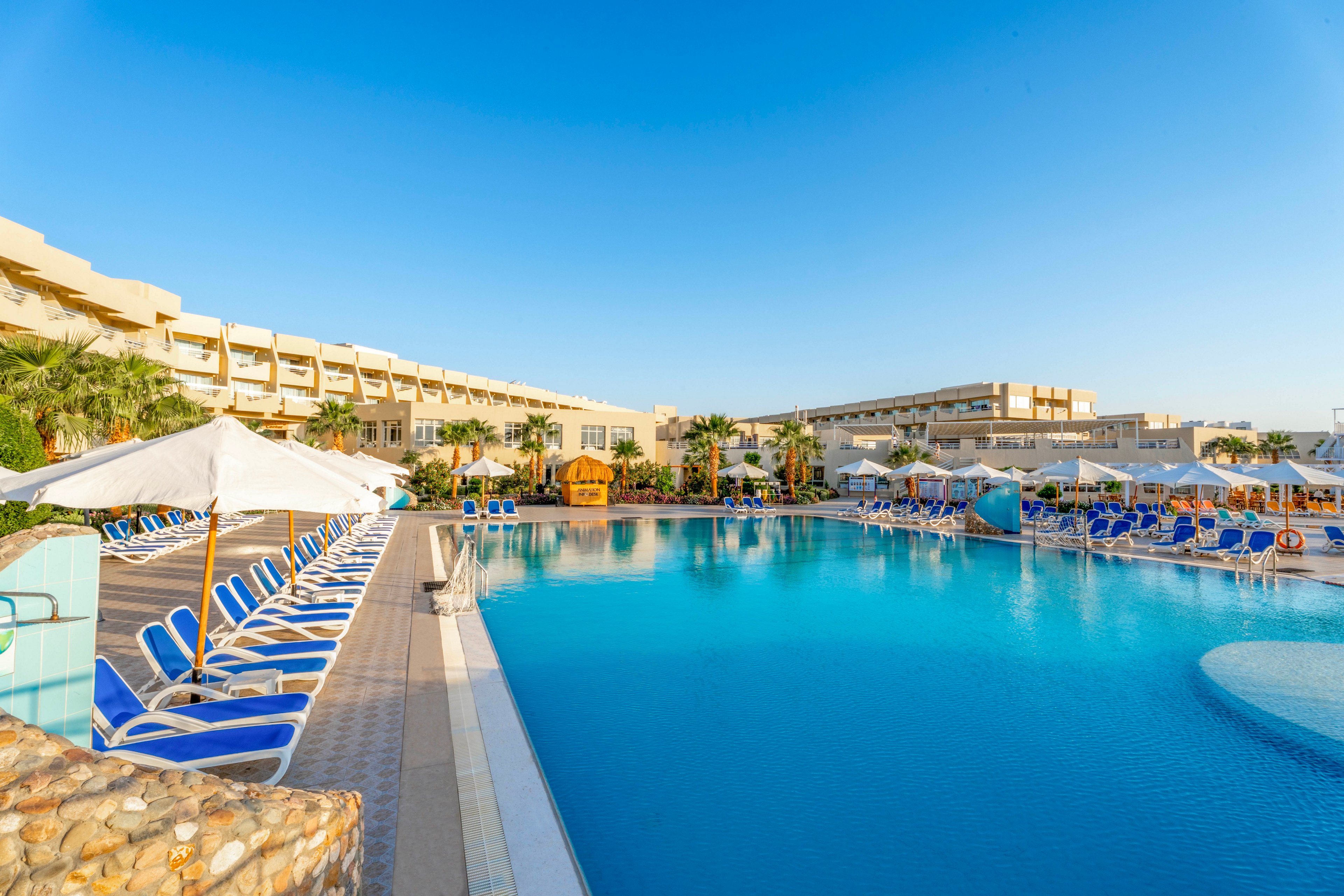 A large outdoor swimming pool is surrounded by rows of blue lounge chairs and white umbrellas at a modern resort. The setting is bright and sunny, with clear blue skies and palm trees adding to the vacation atmosphere. The architecture of the resort buildings is visible in the background, creating a relaxing and inviting environment. No people are present, emphasizing tranquility and leisure. The overall mood is calm and summery, with a clean and organized poolside layout.