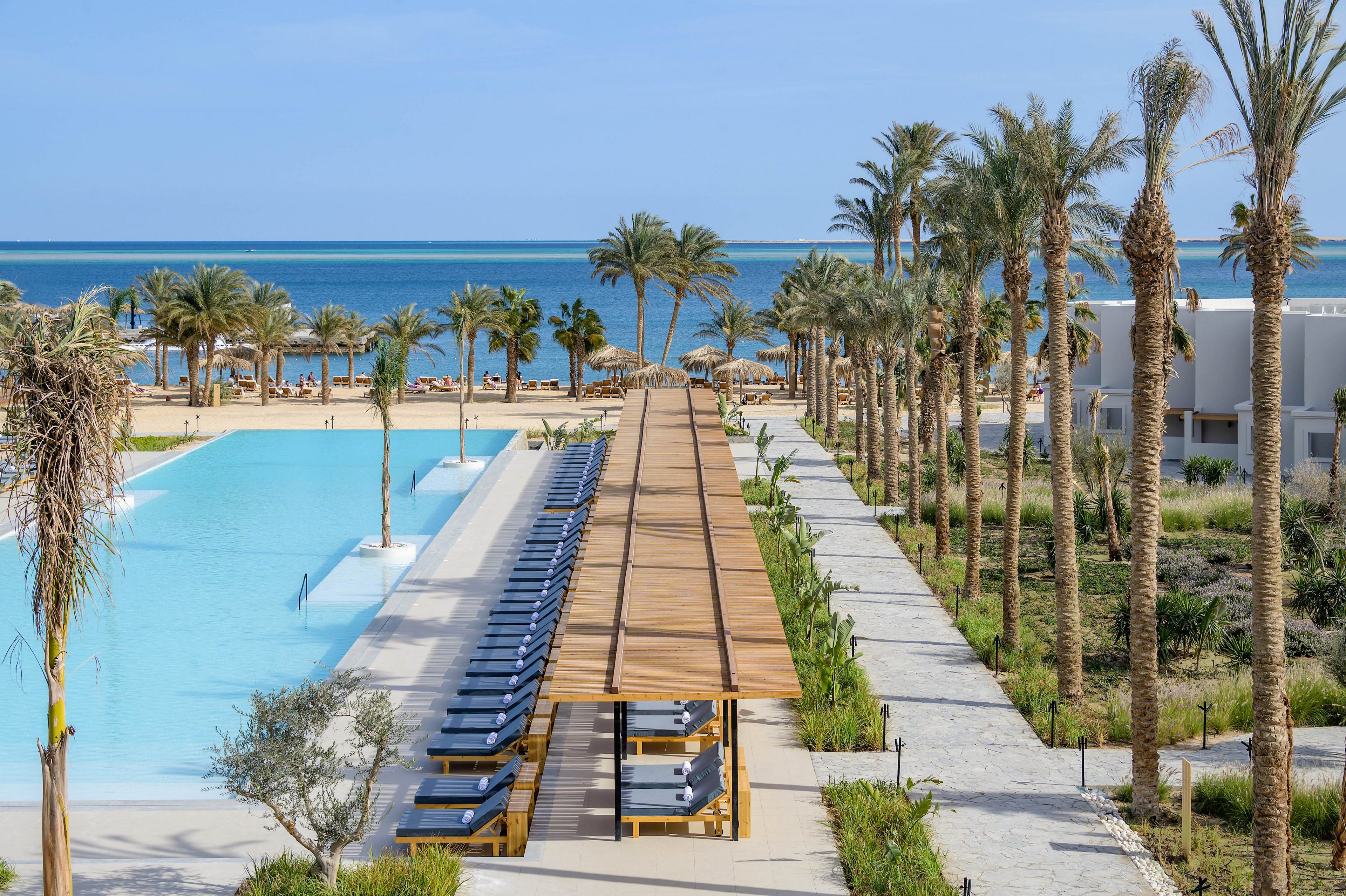 A modern resort pool stretches alongside a row of sun loungers shaded by a wooden pergola, set amidst tall palm trees. The scene overlooks a sandy beach and calm blue sea under a clear sky. The setting is tranquil and inviting, with a clean, minimalist design and lush landscaping. No visible text or numbers are present in the image.