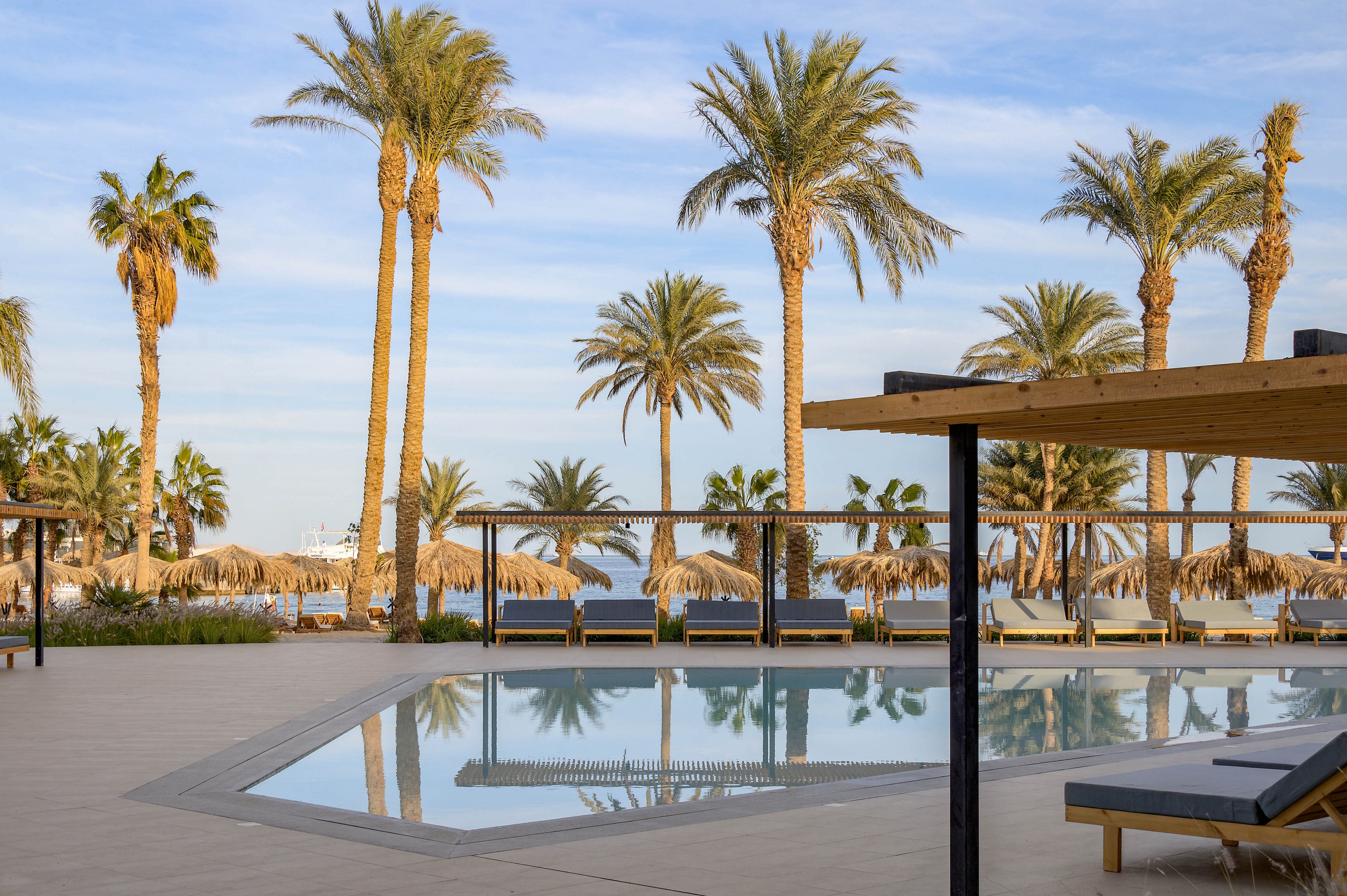 A serene outdoor pool is surrounded by palm trees and shaded lounge chairs, creating a relaxing resort atmosphere. The pool reflects the clear sky and tall palms, while thatched umbrellas provide shade for guests. The setting overlooks a body of water, suggesting a coastal or beachfront location. The overall mood is tranquil and inviting, with soft natural colors and modern outdoor furniture.