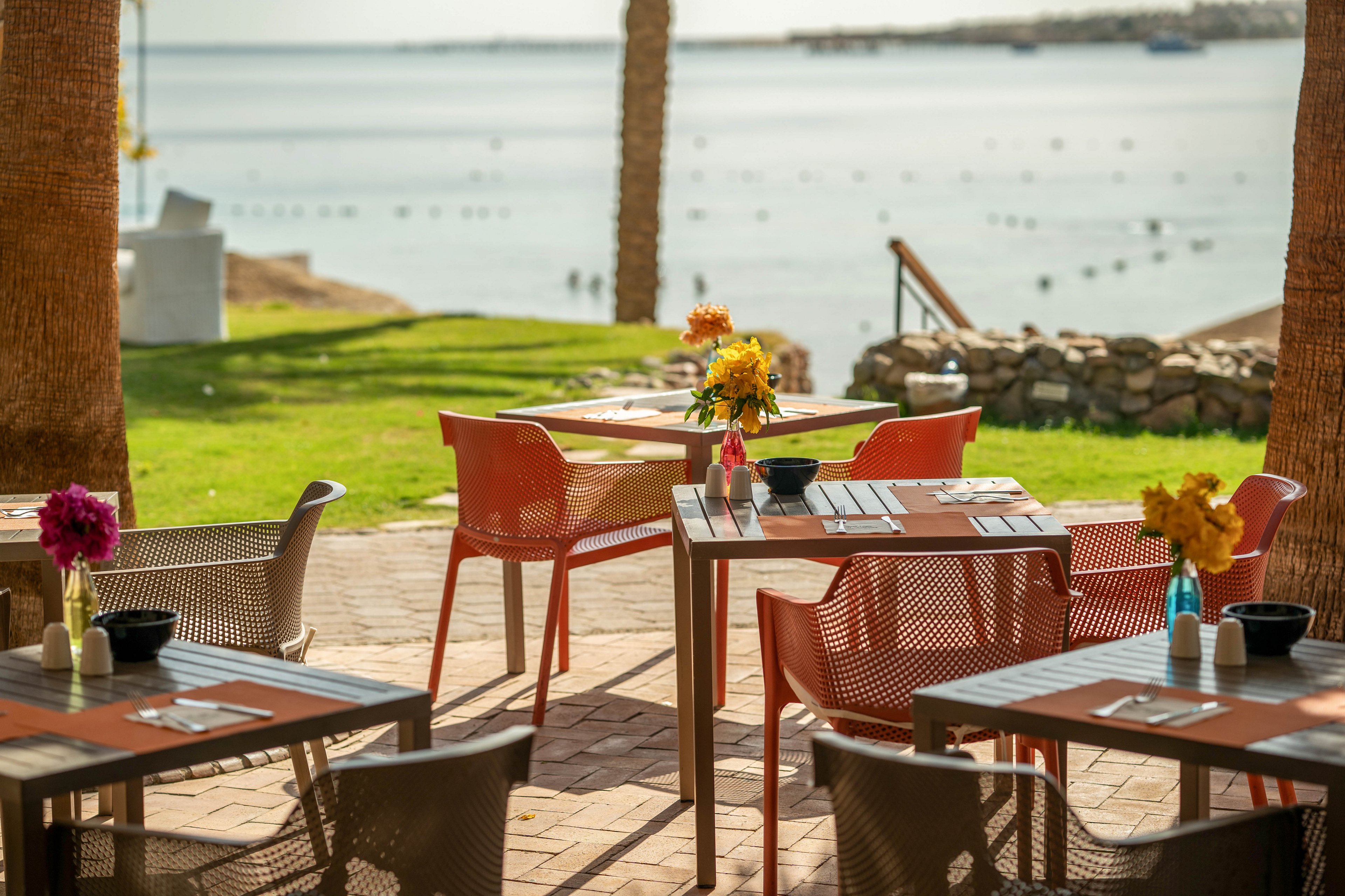 Several tables and chairs are arranged on a shaded patio overlooking a calm seaside view. Each table is set with utensils and decorated with colorful flower arrangements, creating a welcoming and relaxed atmosphere. The scene is sunlit, with palm trees and green grass enhancing the tranquil, vacation-like mood. No people are present, emphasizing the peaceful setting. The water and distant coastline are visible in the background.