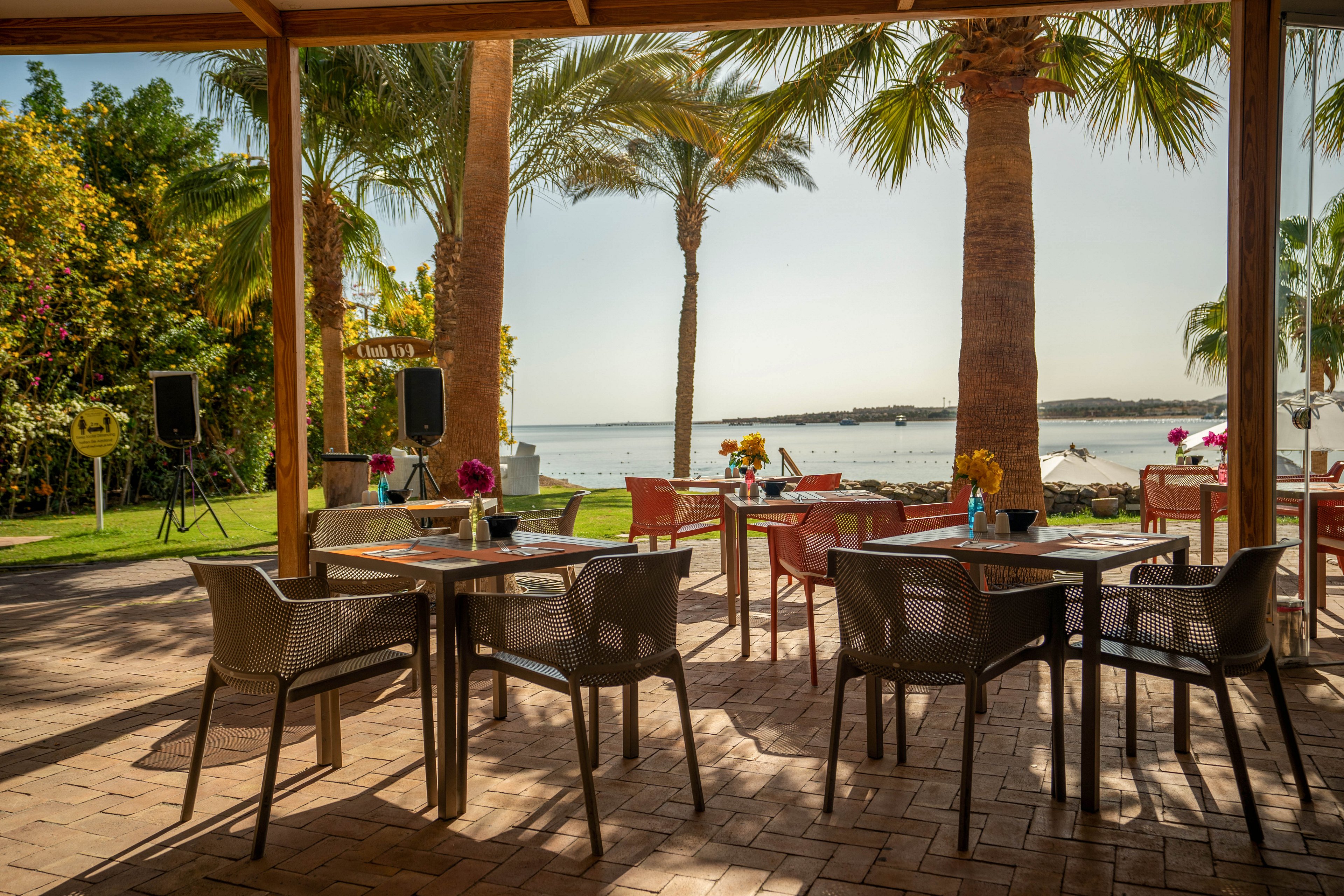 An open-air café terrace features several tables and chairs arranged under a wooden pergola, overlooking a tranquil ocean. Palm trees and lush greenery frame the scene, while colorful flowers decorate the tables. The setting is sunlit and relaxed, evoking a tropical, vacation-like atmosphere with clear blue skies and gentle water in the background.