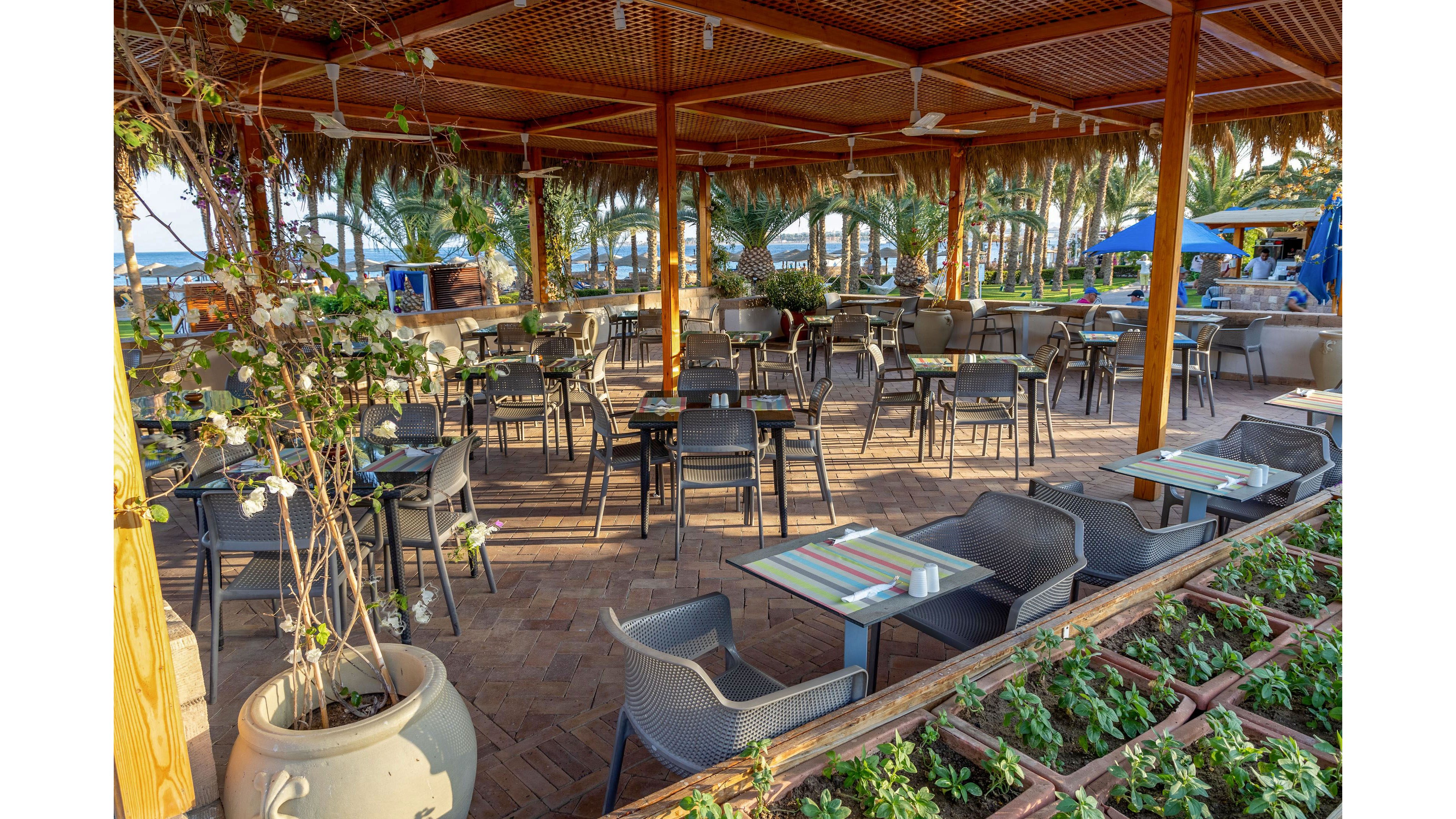 An open-air restaurant terrace features neatly arranged empty tables and chairs under a wooden pergola. The setting overlooks a coastal area with palm trees and glimpses of the sea in the background. Table settings include striped placemats and small condiment holders, suggesting readiness for guests. Planters with green foliage and large decorative pots add a natural, relaxed atmosphere to the outdoor dining space.