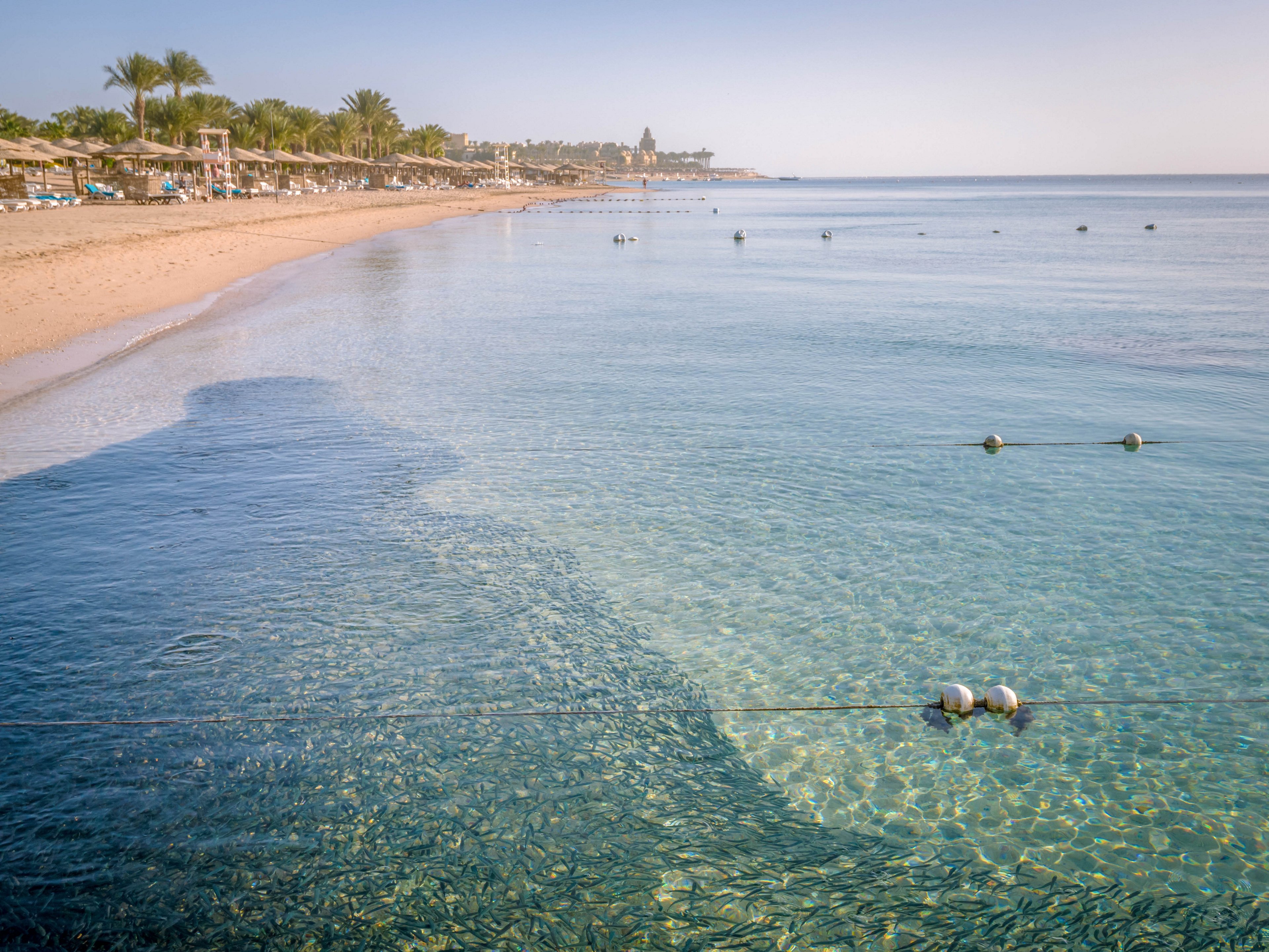A tranquil beach scene features crystal-clear shallow water gently meeting a sandy shoreline. Palm trees and sun loungers line the coast, suggesting a resort or vacation destination. The water is calm, with visible buoys marking a swimming area, and the sky is clear, creating a peaceful and inviting atmosphere. The overall palette is warm and natural, with soft blues and sandy tones.