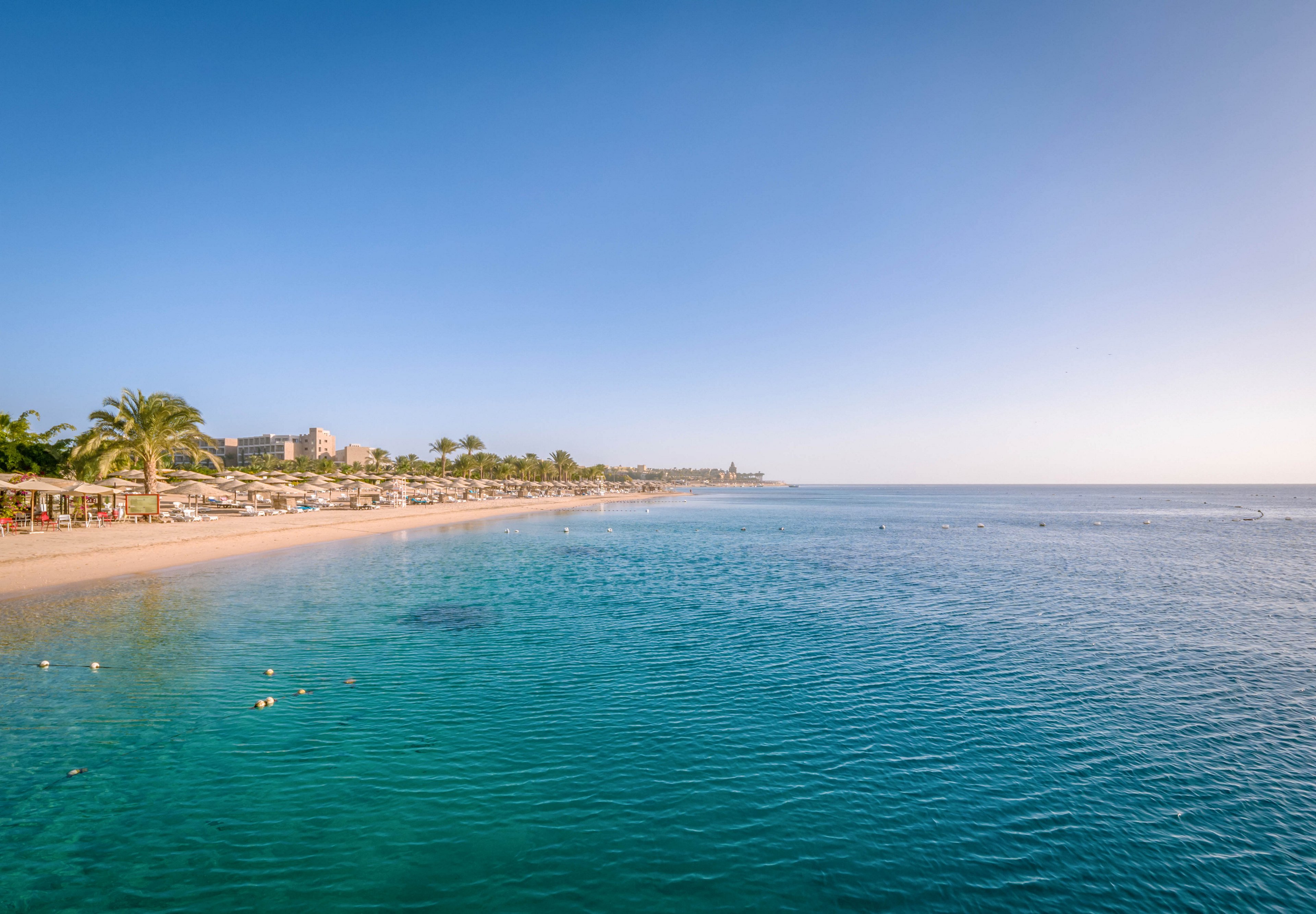 A tranquil beach scene features a wide expanse of clear blue water and a sandy shoreline lined with sun loungers and umbrellas. Palm trees and resort buildings are visible in the background, suggesting a popular vacation destination. The sky is clear, and the overall mood is relaxed and inviting, with a warm color palette. A few people can be seen enjoying the water and the beach.