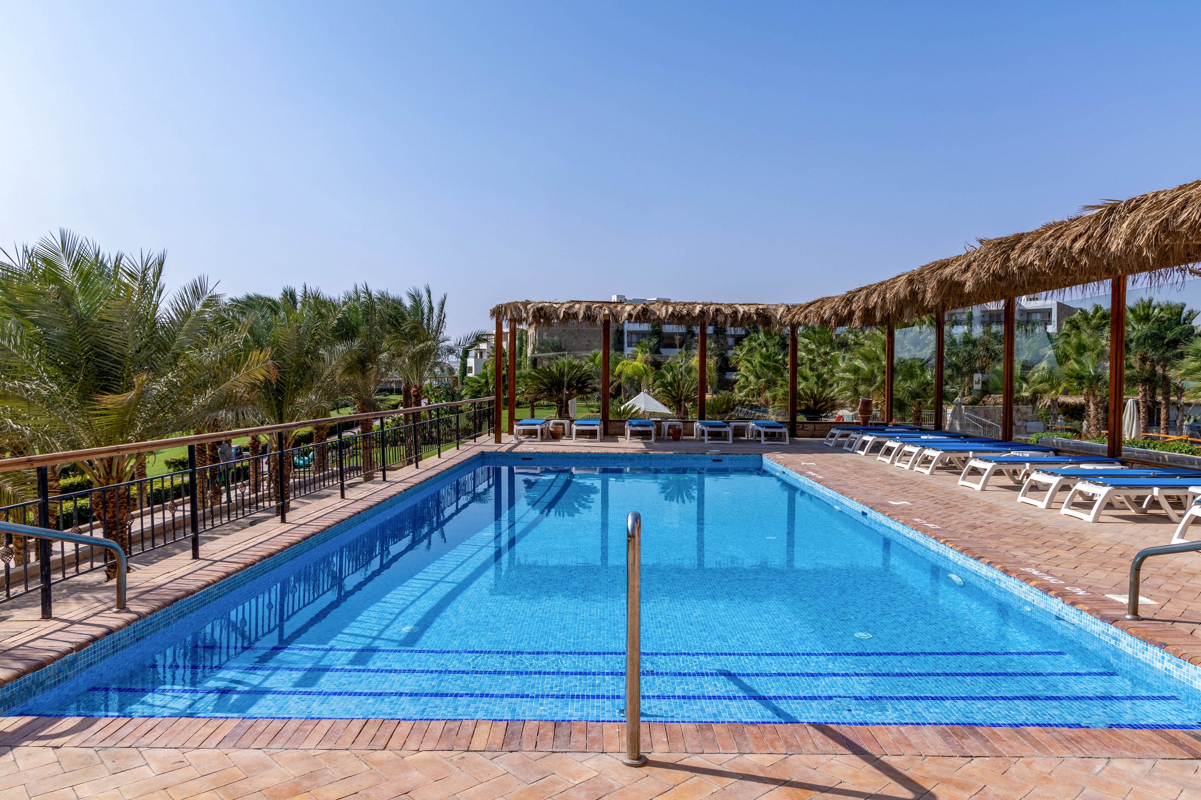 A clear blue outdoor swimming pool is surrounded by palm trees and sun loungers under a bright sky. The pool area features a tiled deck and a shaded pergola with thatched roofing. The setting suggests a relaxing, resort-like atmosphere with no people present. The scene is well-lit, emphasizing the tranquil and inviting mood. No visible text or numbers are present in the image.