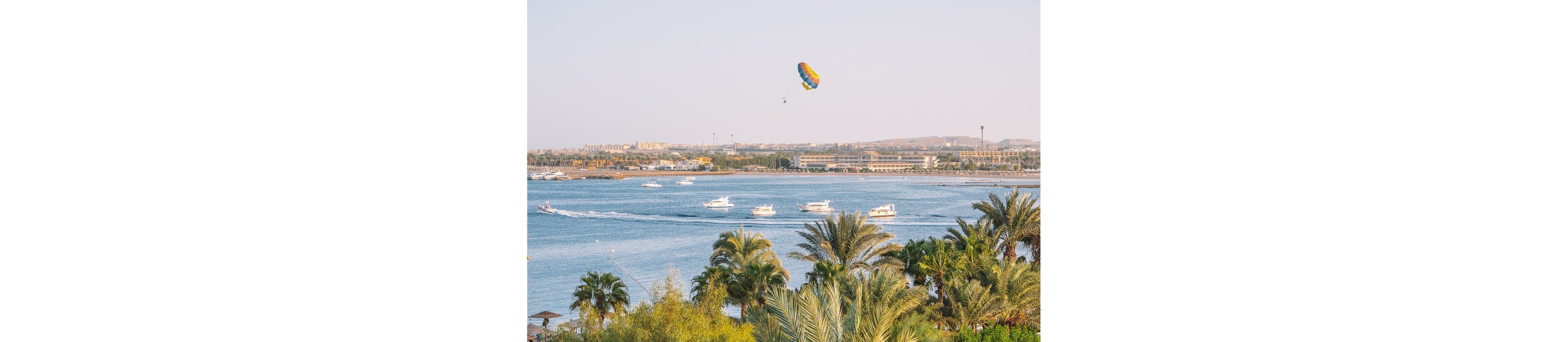 A person is parasailing high above a wide river, with several boats cruising on the water below. The foreground features lush green palm trees and tropical vegetation, while the background shows distant buildings and a clear blue sky. The overall mood is bright and adventurous, with a warm color palette. No visible text or numbers are present in the image.