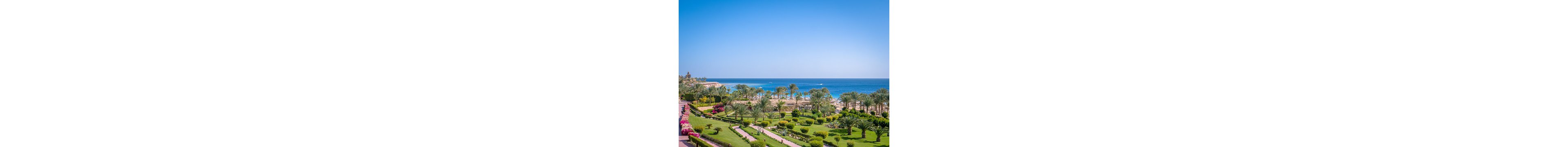 A lush, landscaped garden with palm trees and vibrant flowers stretches toward a sandy beach and clear blue ocean. The scene is set under a bright, cloudless sky, evoking a tranquil and luxurious vacation atmosphere. Pathways wind through the greenery, leading to sun loungers and umbrellas near the water. The overall mood is serene and inviting, with vivid greens and blues dominating the palette.