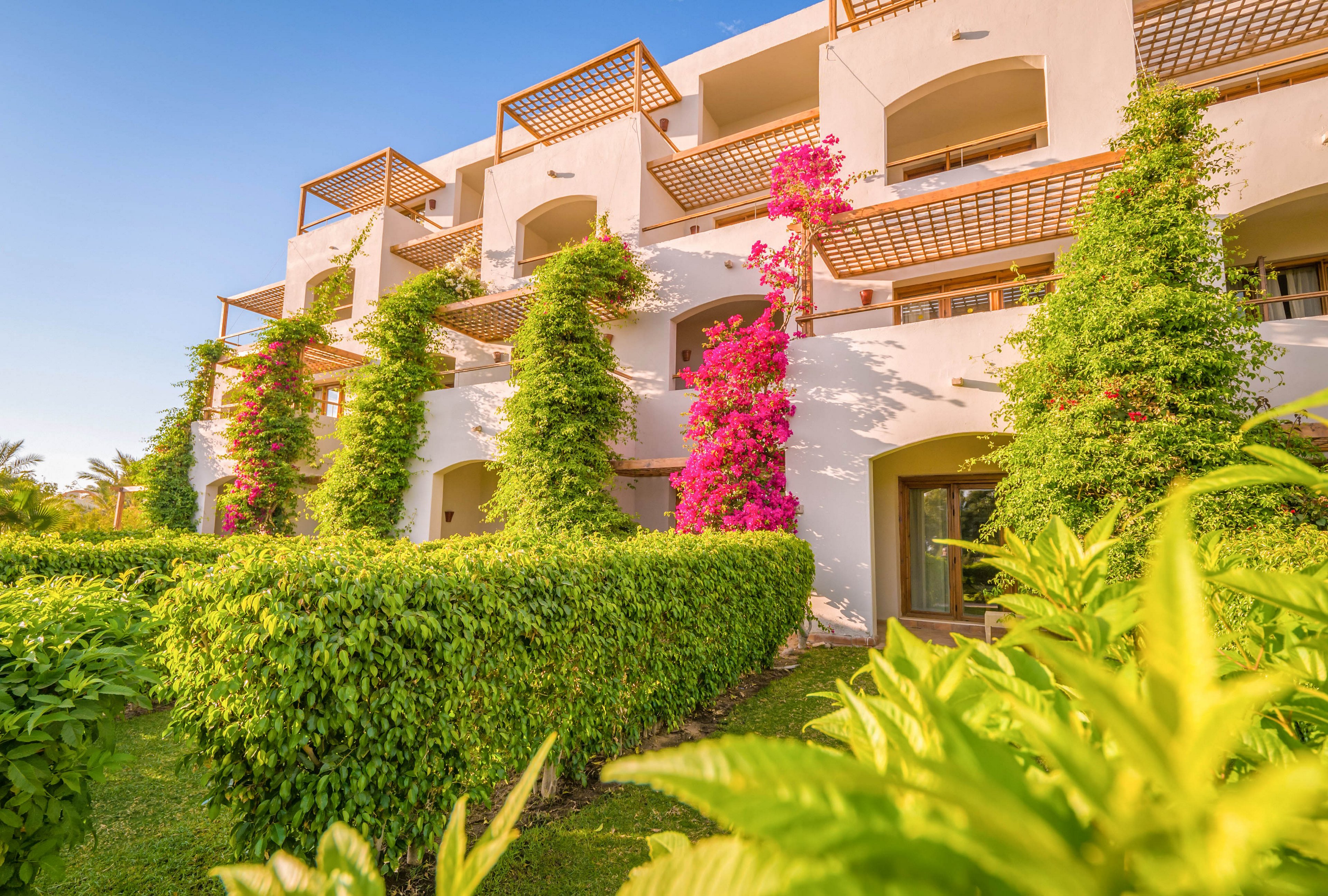 A contemporary multi-story resort building is surrounded by vibrant green hedges and climbing plants. Pink flowering vines add a pop of color against the white facade, while wooden pergolas provide shade on the balconies. The scene is bathed in warm sunlight, creating a welcoming and tranquil atmosphere. No visible text or numbers are present in the image.