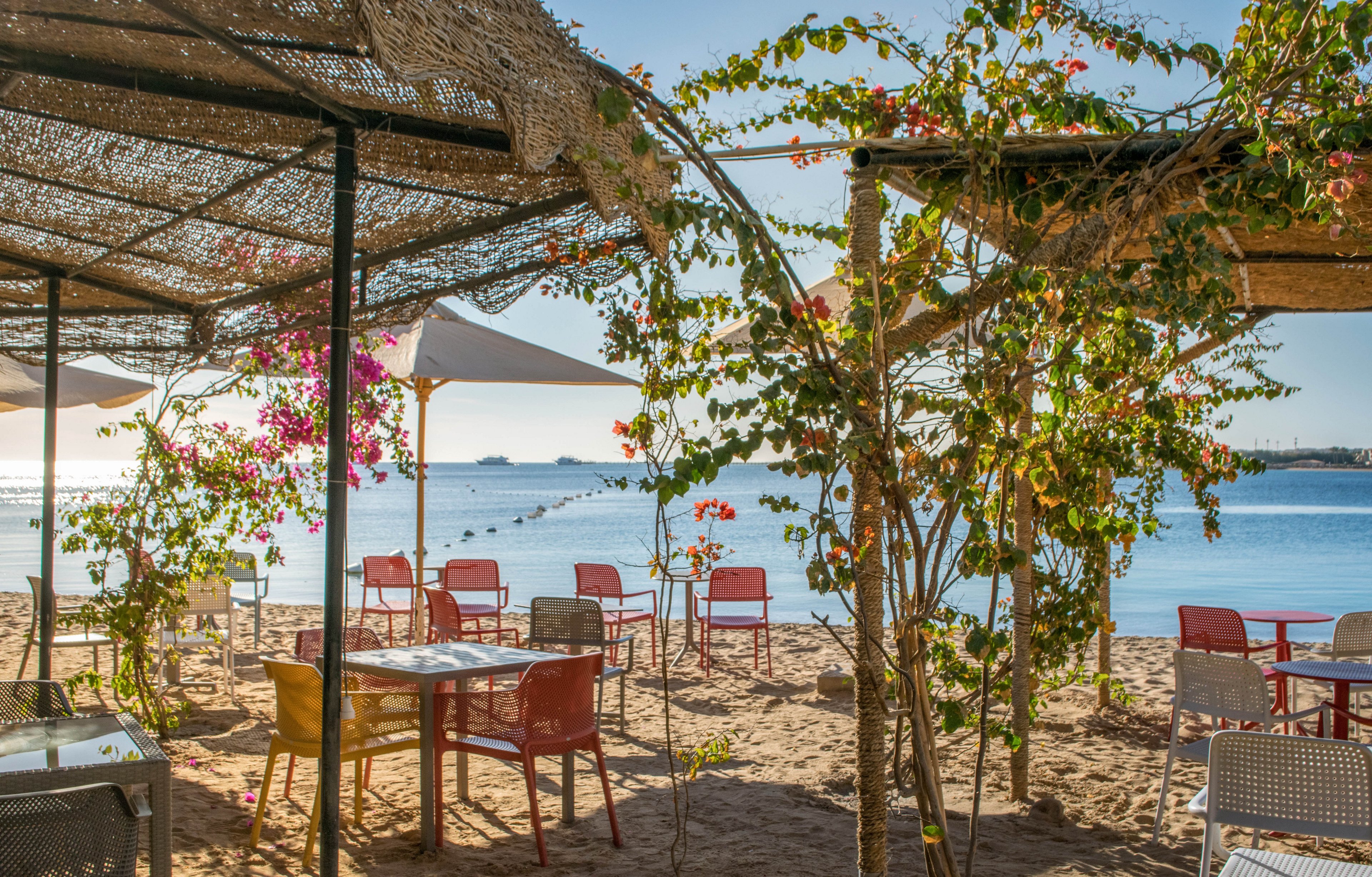 An inviting beach café features a variety of colorful chairs and tables set on sandy ground under shaded pergolas. Flowering vines and large umbrellas provide shade, while the calm blue sea and distant boats create a tranquil backdrop. The scene is sunlit, evoking a relaxed and summery mood, perfect for leisure and seaside dining.