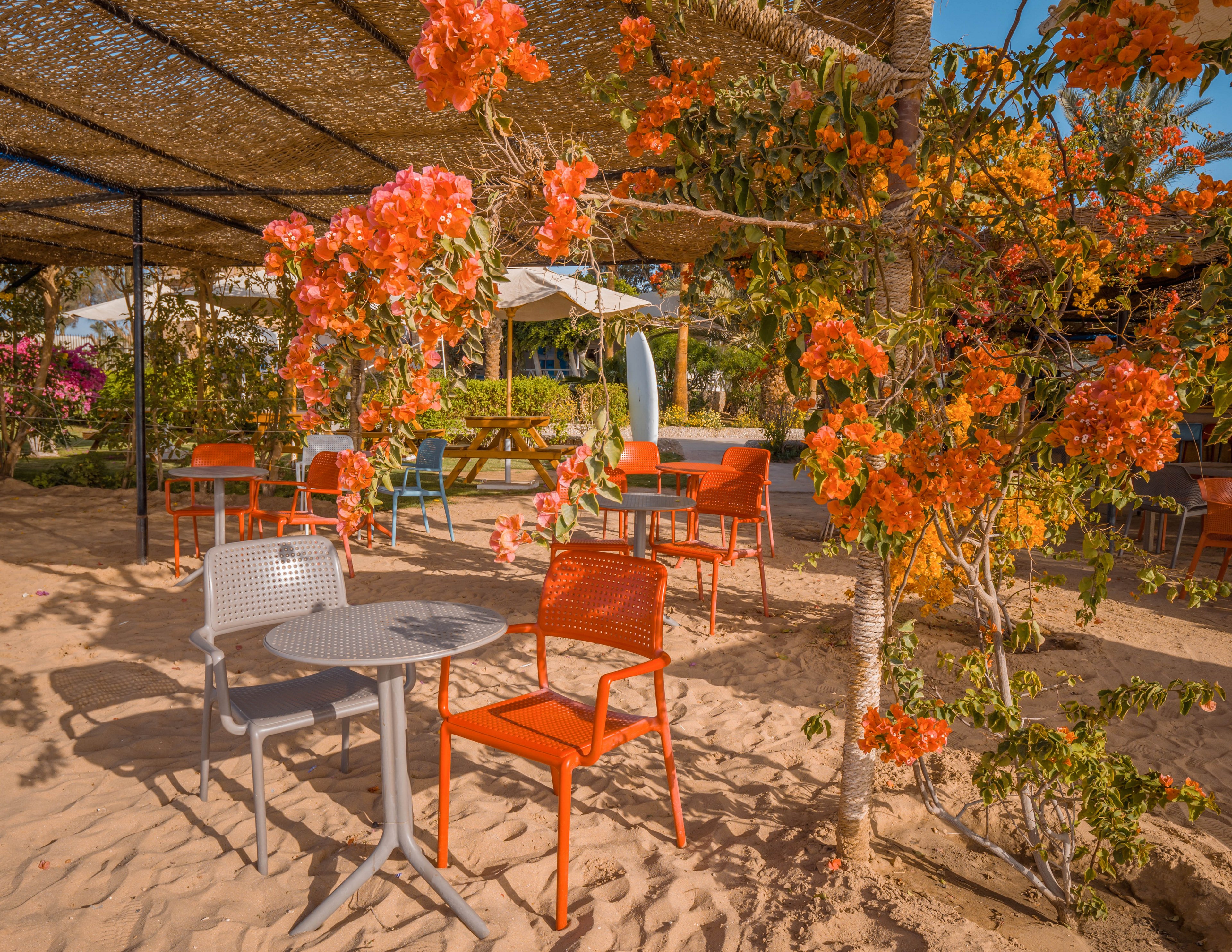 A vibrant outdoor café area features colorful orange and gray chairs and tables set on sandy ground. Bright orange and pink flowers bloom on nearby trees, creating a lively and inviting atmosphere. The seating is shaded by a woven canopy, and the background includes more tables and lush greenery. The scene is sunlit, evoking a warm and relaxed mood.