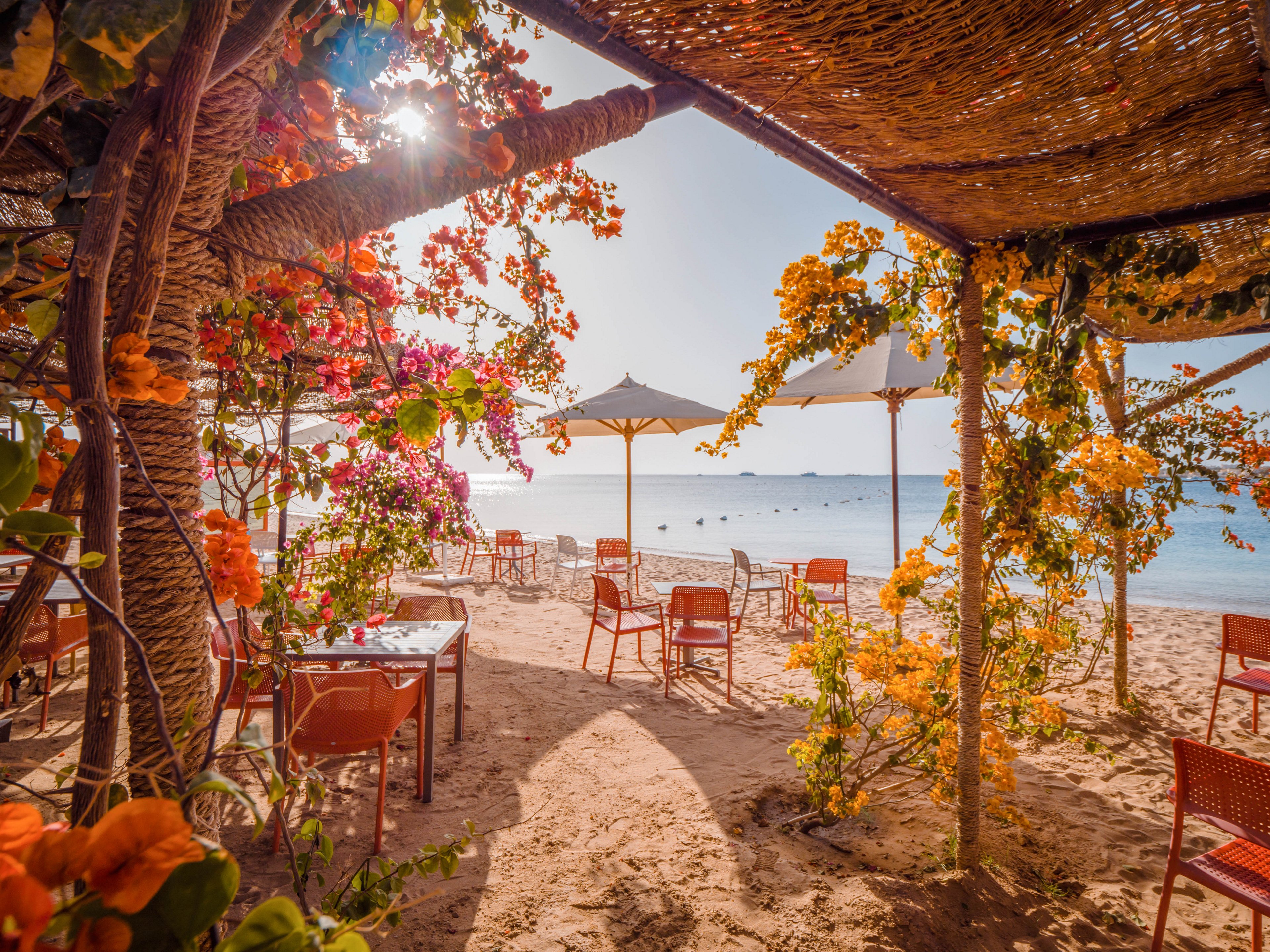 A vibrant outdoor café is set on a sandy beach, shaded by a canopy adorned with colorful flowers. Sunlight filters through the foliage, casting warm patterns on the tables and chairs below. White umbrellas provide additional shade, while the calm ocean and distant horizon create a tranquil backdrop. The scene is empty of people, emphasizing a peaceful, inviting atmosphere.