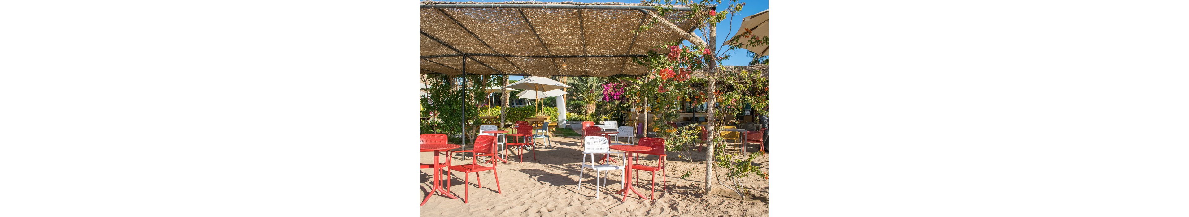 An open-air café is set on sandy ground with a variety of red and white chairs and tables arranged under a woven canopy. The setting is surrounded by lush greenery, flowering plants, and palm trees, creating a relaxed and inviting atmosphere. The sunlight filters through the canopy, casting dappled shadows on the sand, while the vibrant colors of the furniture add a cheerful touch to the scene.