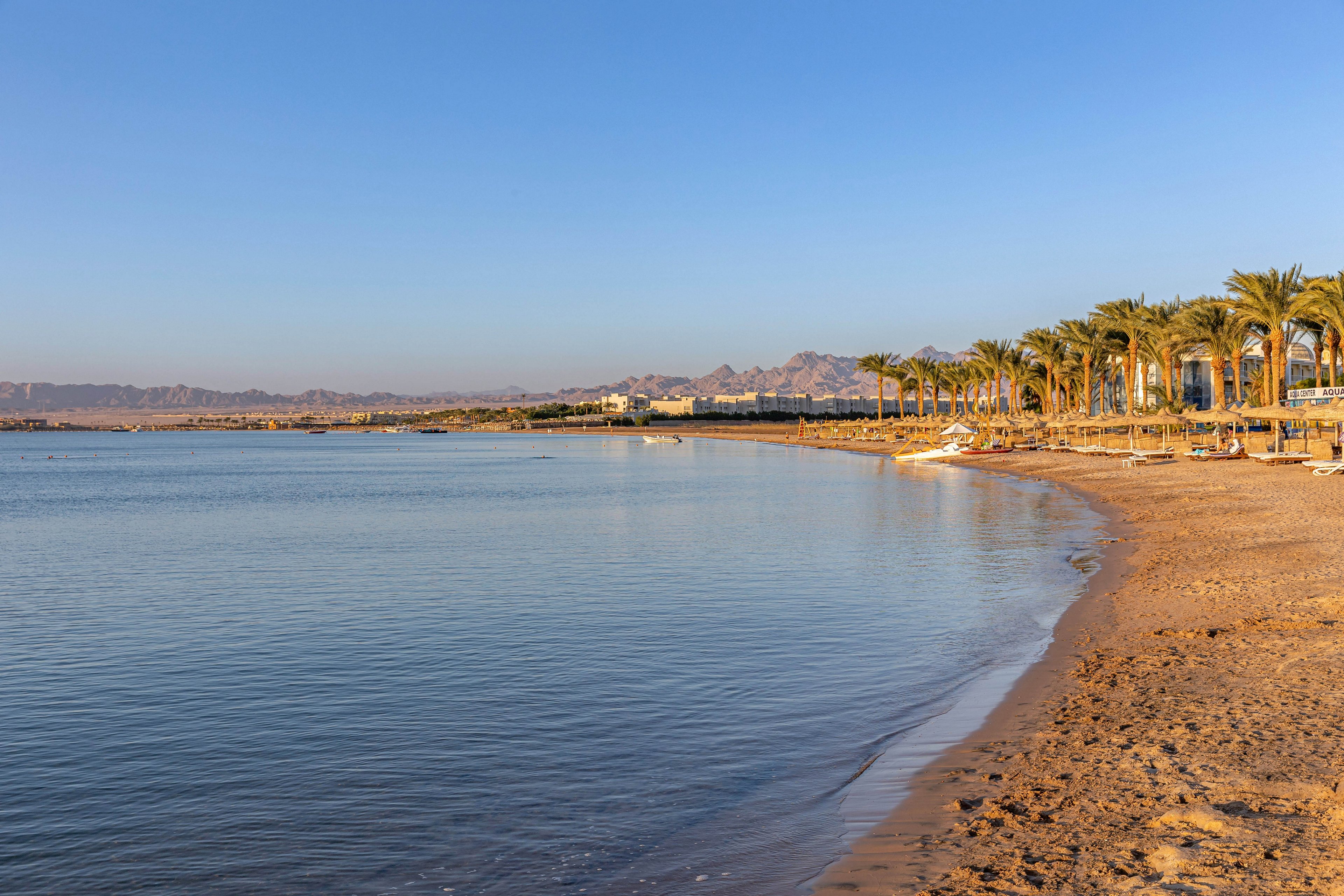 A serene sandy shoreline stretches along calm blue waters under a clear sky. Palm trees line the beach, with distant mountains visible on the horizon. The early morning light casts a warm glow, creating a peaceful and inviting atmosphere. No people are present, emphasizing the natural beauty and tranquility of the setting.
