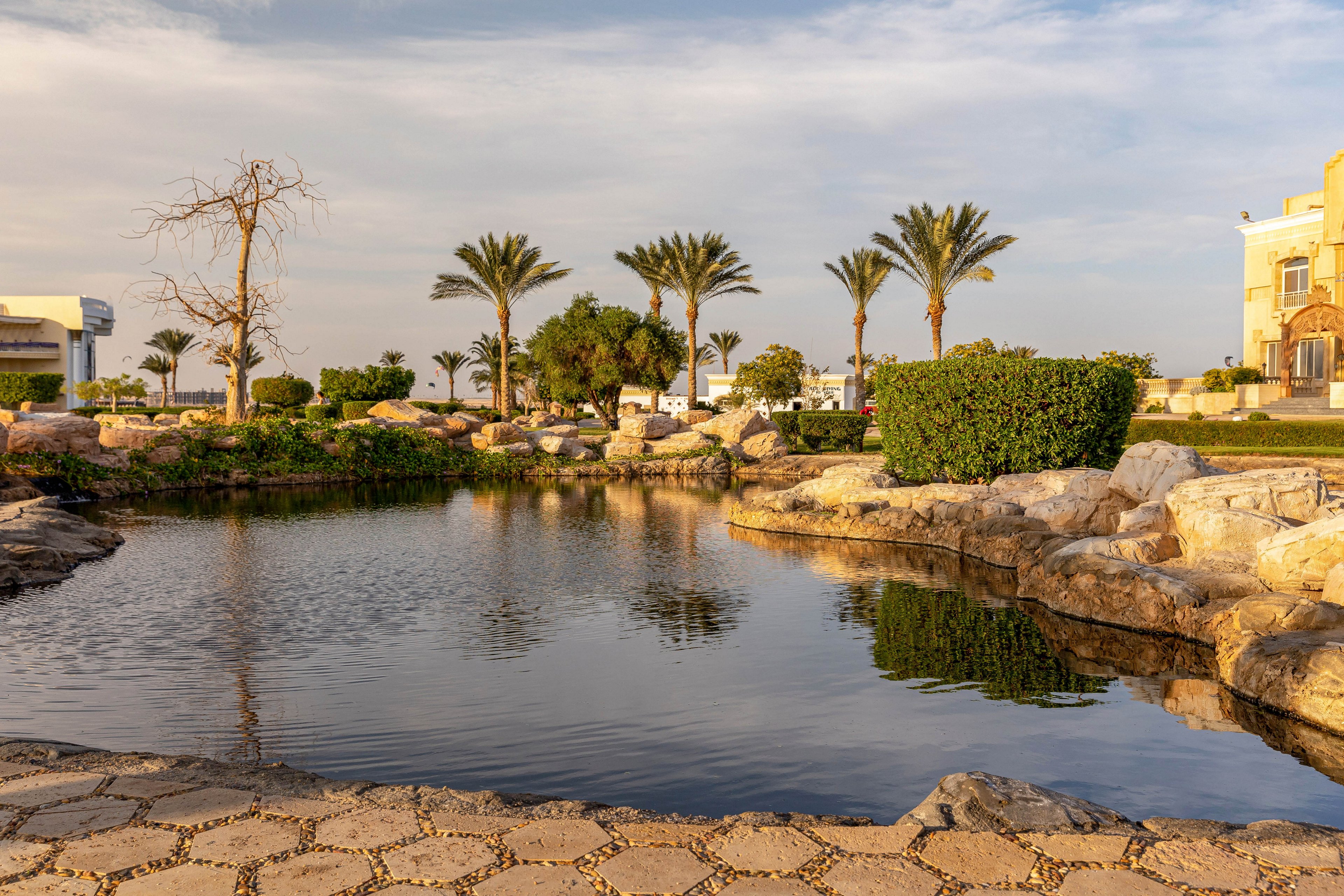 A tranquil pond is surrounded by large rocks and lush greenery, including palm trees and manicured bushes. The setting appears to be a landscaped garden or park, with a paved stone walkway in the foreground. The lighting is warm and golden, suggesting late afternoon or early evening. A building with architectural details is visible in the background, adding to the serene atmosphere.