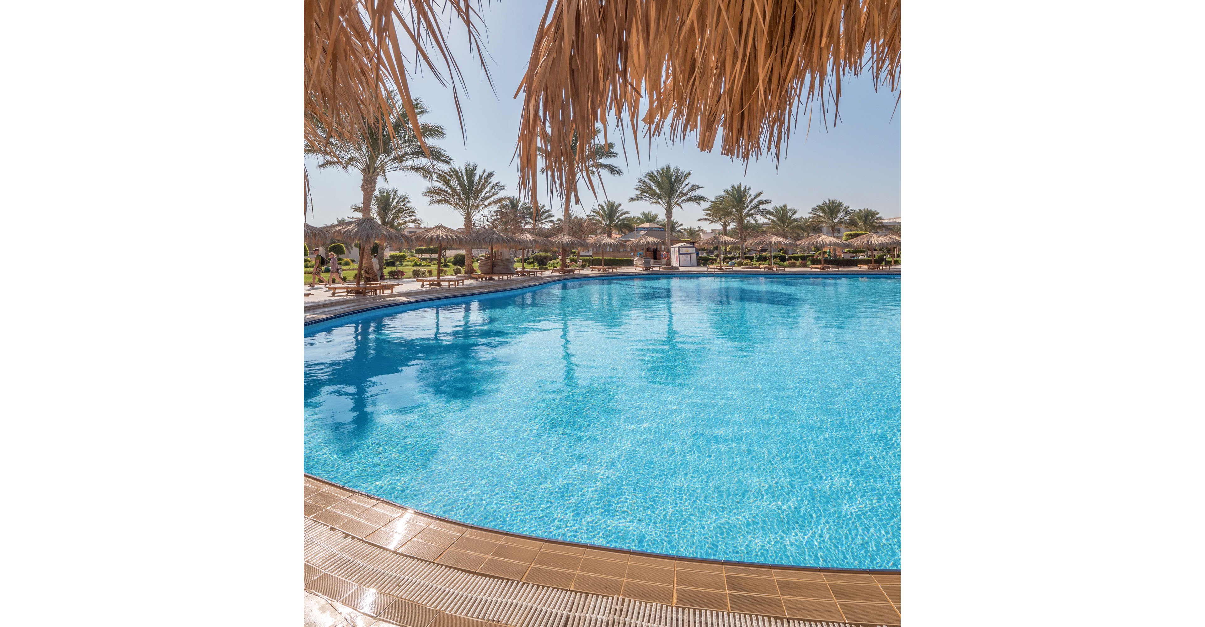 A large, clear blue swimming pool is shown under bright sunlight at a tropical resort. Straw parasols and sun loungers line the poolside, with tall palm trees in the background. The foreground is framed by the edge of a thatched roof, emphasizing the vacation atmosphere. The scene suggests a relaxing holiday destination with warm weather and calm water.