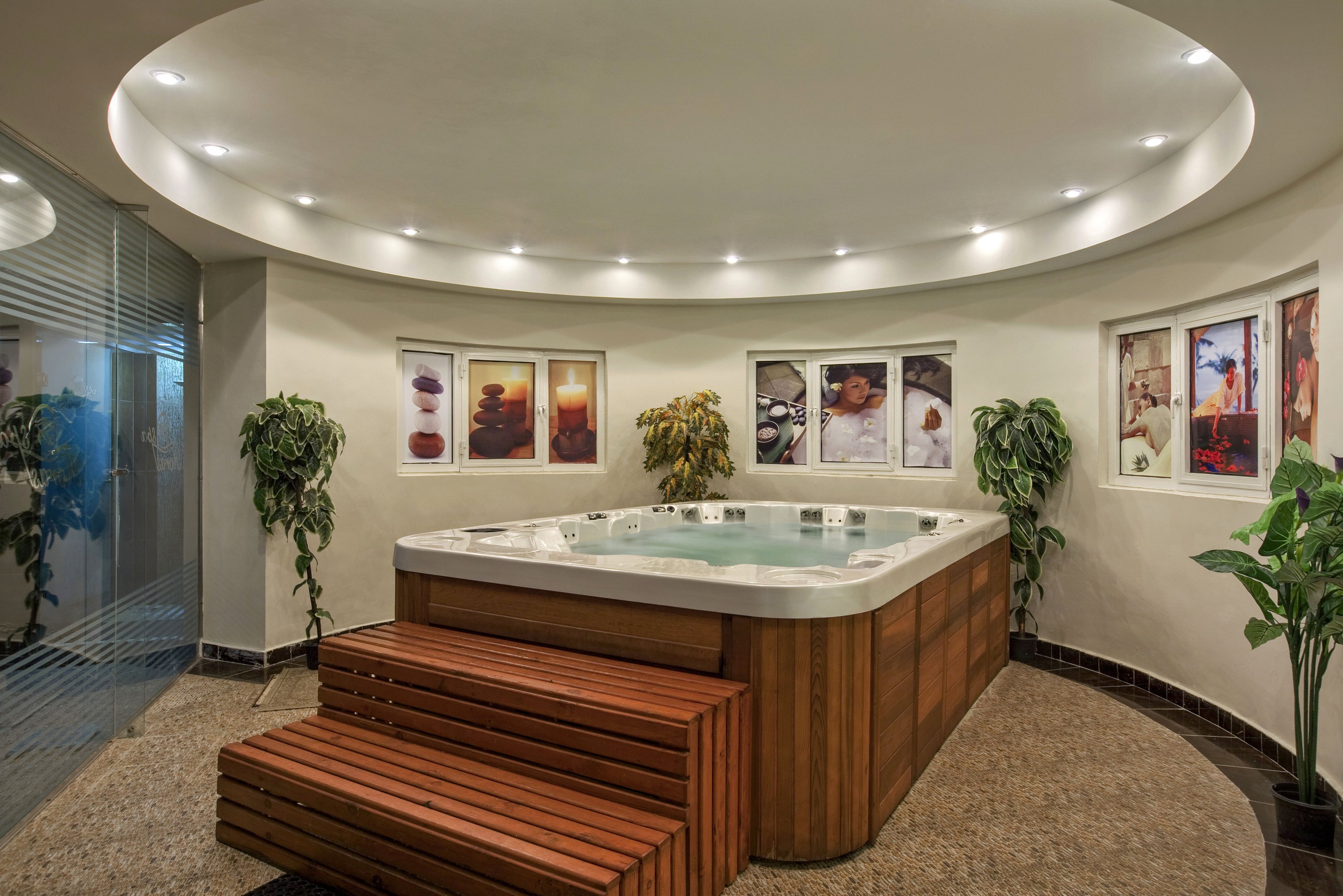 Indoor spa room featuring a large jacuzzi with wooden paneling and matching steps in the foreground. The space is surrounded by curved walls, recessed ceiling lights, and glass partitioning on one side. Potted green plants add natural accents around the tub, while framed wellness and massage images decorate the walls. The overall atmosphere is calm, modern, and designed for relaxation and hydrotherapy.