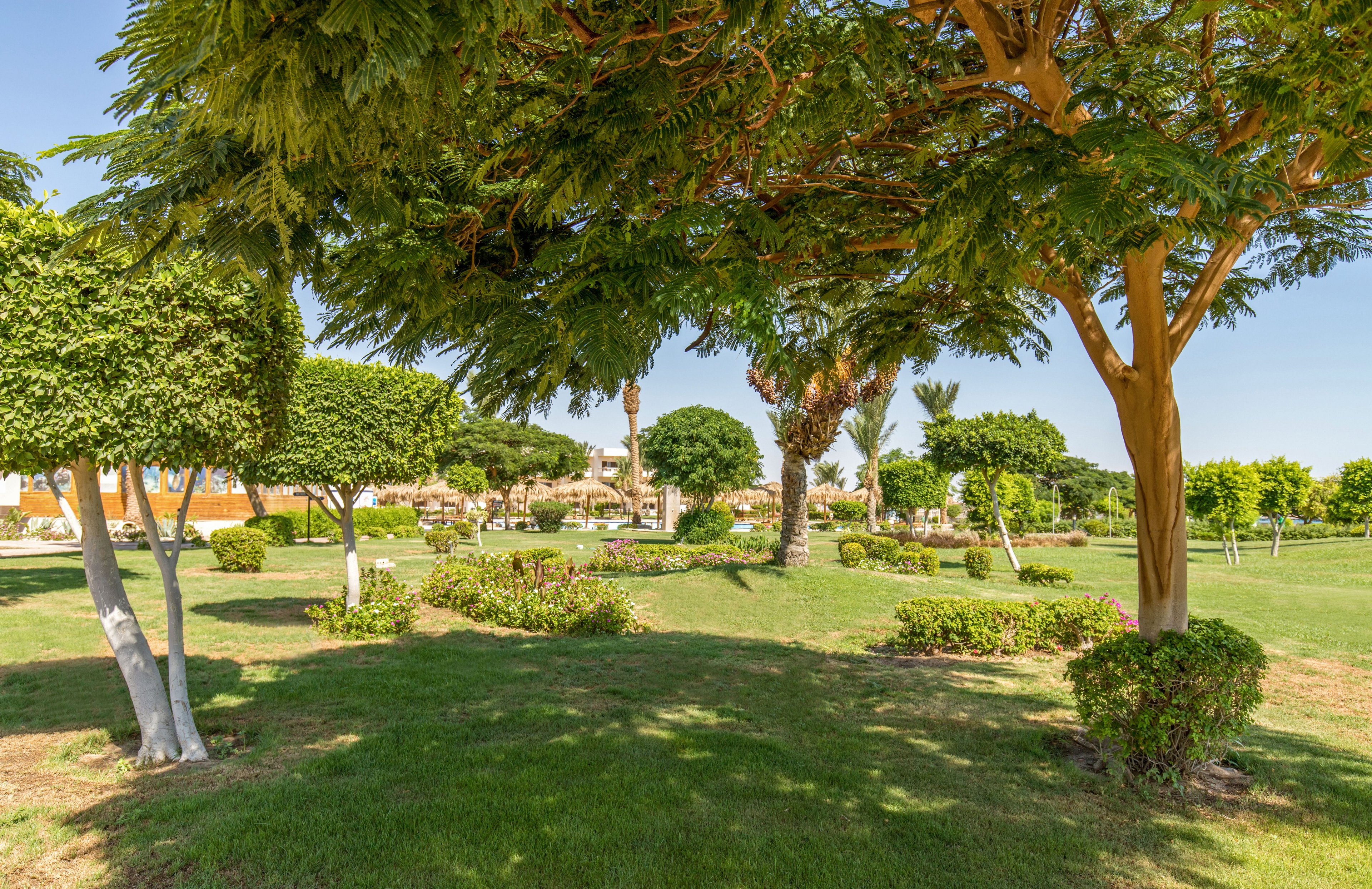 A lush green park features neatly trimmed trees and manicured shrubs under a clear blue sky. Sunlight filters through the foliage, casting soft shadows on the grass. In the background, low buildings and additional greenery suggest a resort or residential setting. The overall scene conveys a peaceful, well-maintained outdoor space ideal for relaxation.