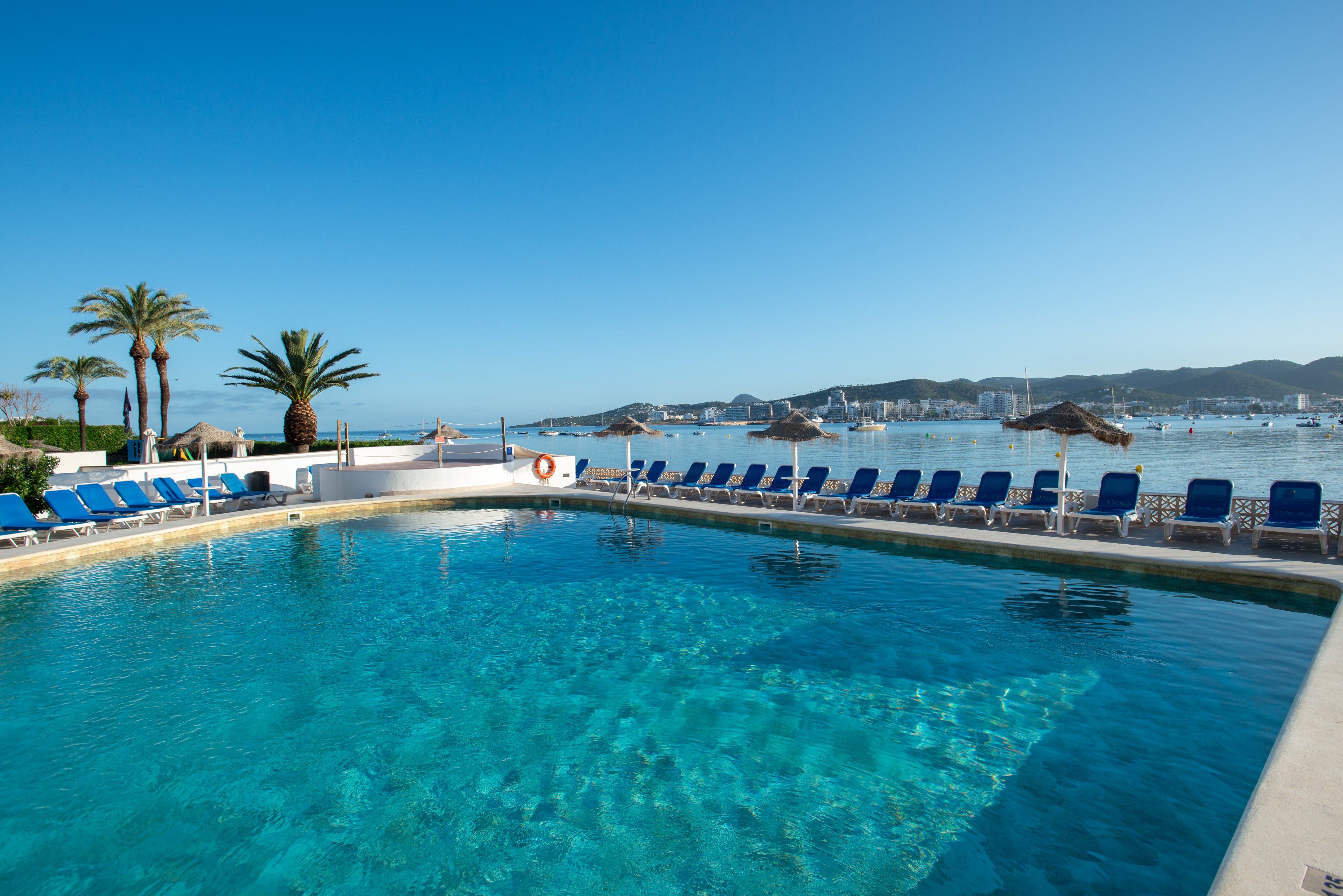 A large outdoor swimming pool sits beside a calm seaside bay under a clear blue sky. Numerous blue sun loungers line the pool deck, facing the water and the distant marina. Palm trees and thatched umbrellas add a tropical resort atmosphere to the scene. In the background, boats and low hills frame the tranquil coastal setting.