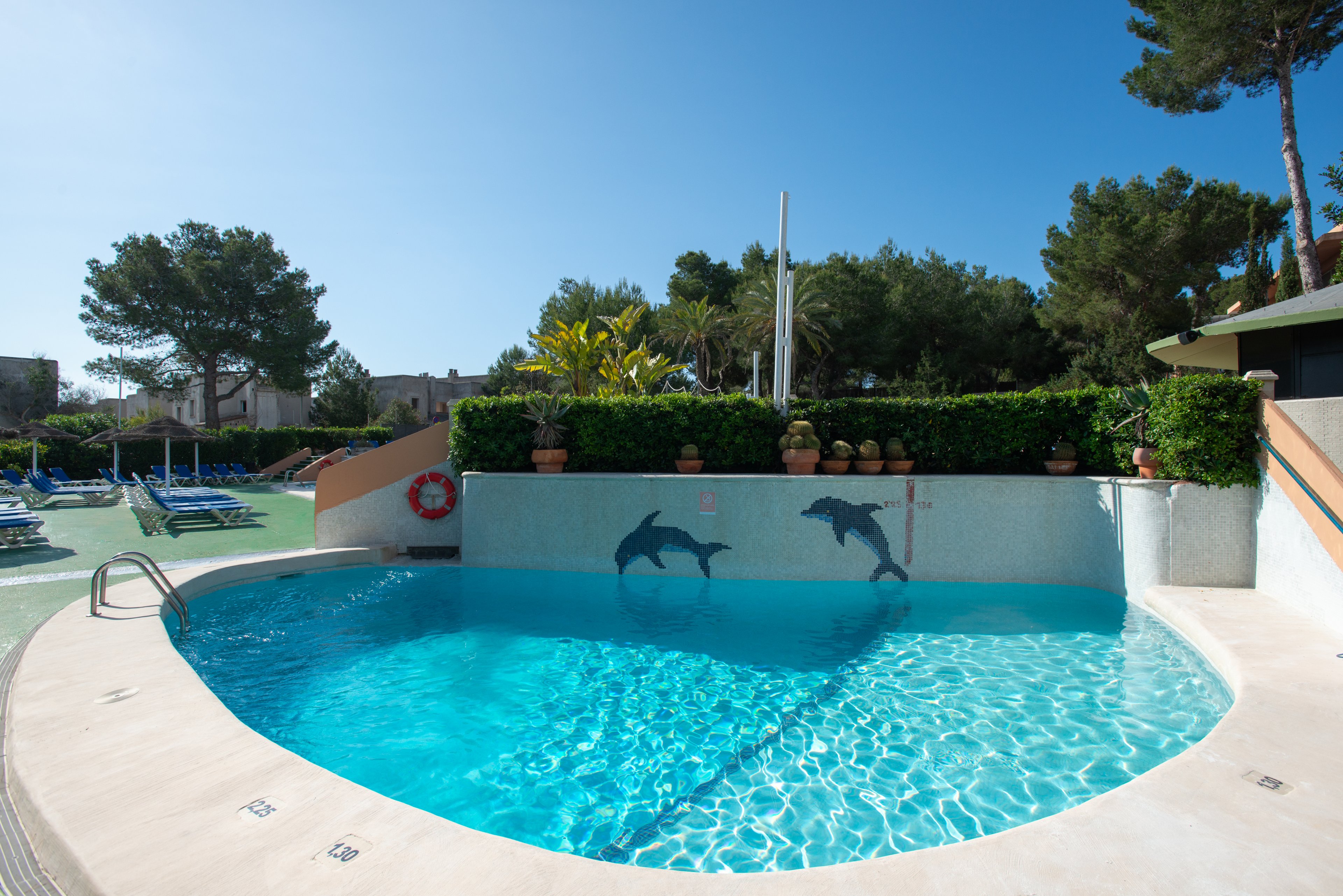 An outdoor swimming pool sparkles under a clear blue sky. The curved pool features a wall decorated with painted dolphins and is surrounded by manicured hedges and potted plants. Sun loungers and umbrellas are visible in the background, suggesting a relaxing resort or hotel setting. Tall trees frame the scene, adding greenery and shade around the bright turquoise water.