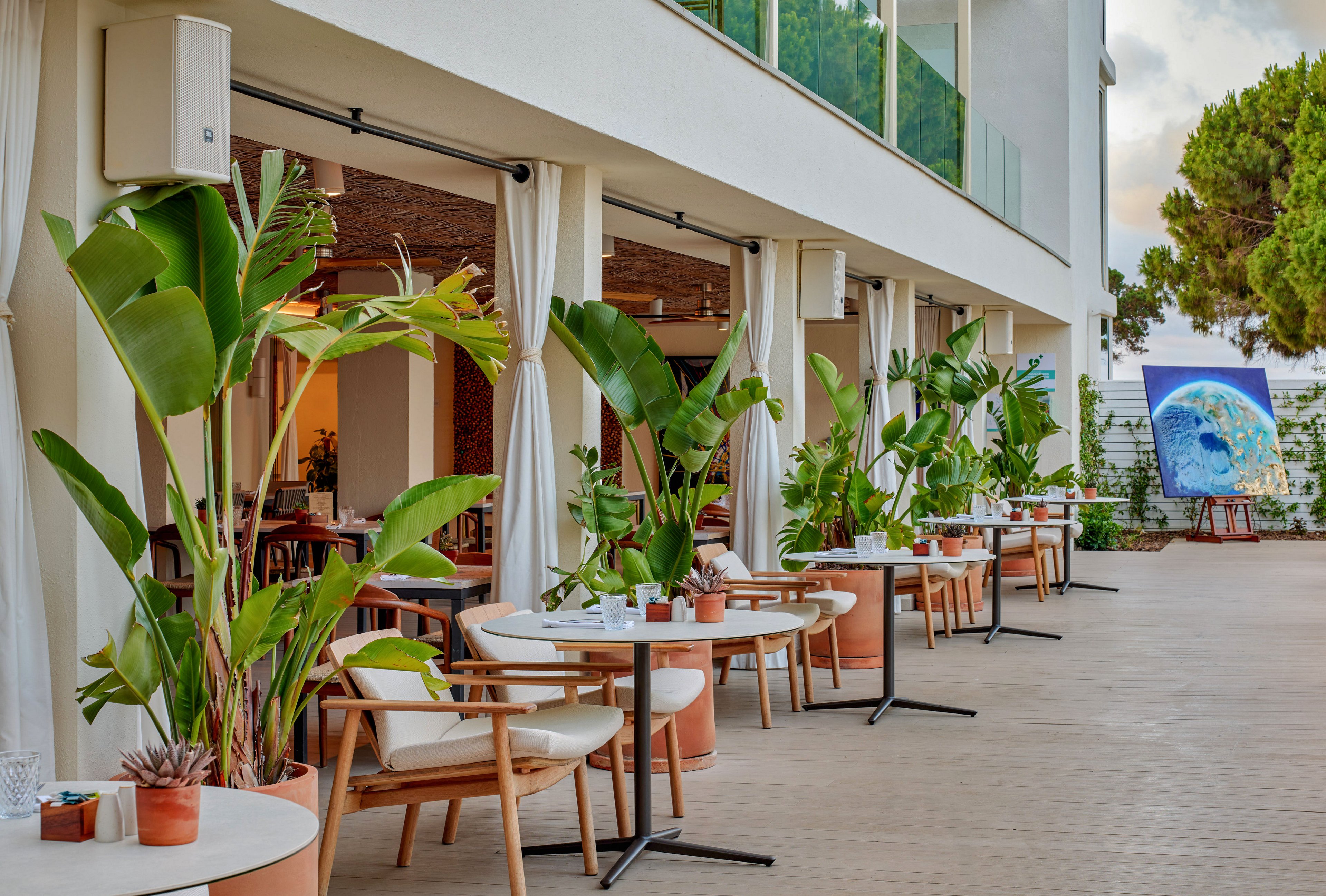 A contemporary open-air restaurant terrace features neatly arranged tables and cushioned chairs along a wooden deck. Large potted tropical plants and white curtains create a relaxed, resort-like atmosphere beside the building’s glass-fronted facade. Warm interior lighting glows from inside, while an art piece with a blue circular motif stands on an easel in the background. The scene suggests a stylish, inviting space for dining and socializing in a coastal or urban setting.