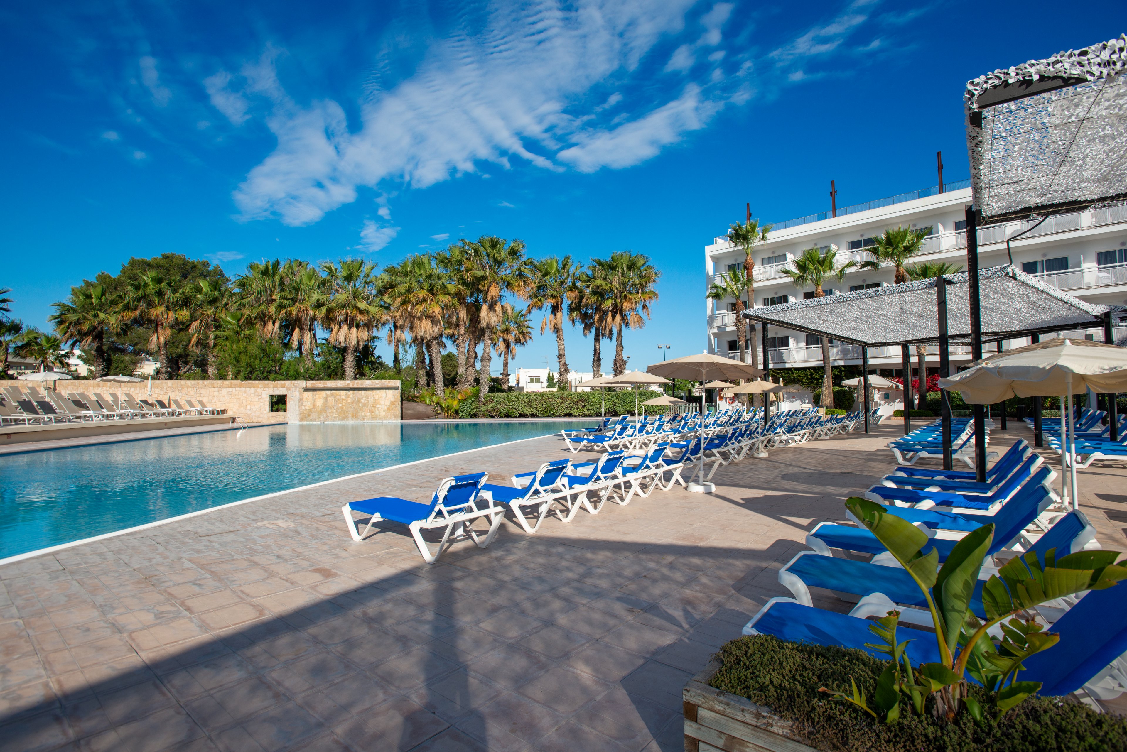 A large outdoor swimming pool stretches alongside a row of empty blue sun loungers at a resort. Palm trees line the far side of the pool, adding a tropical feel to the scene. A white multi-story hotel building stands in the background under a bright blue sky with scattered clouds. Umbrellas and landscaped plants frame the pool deck, creating a relaxing vacation atmosphere.