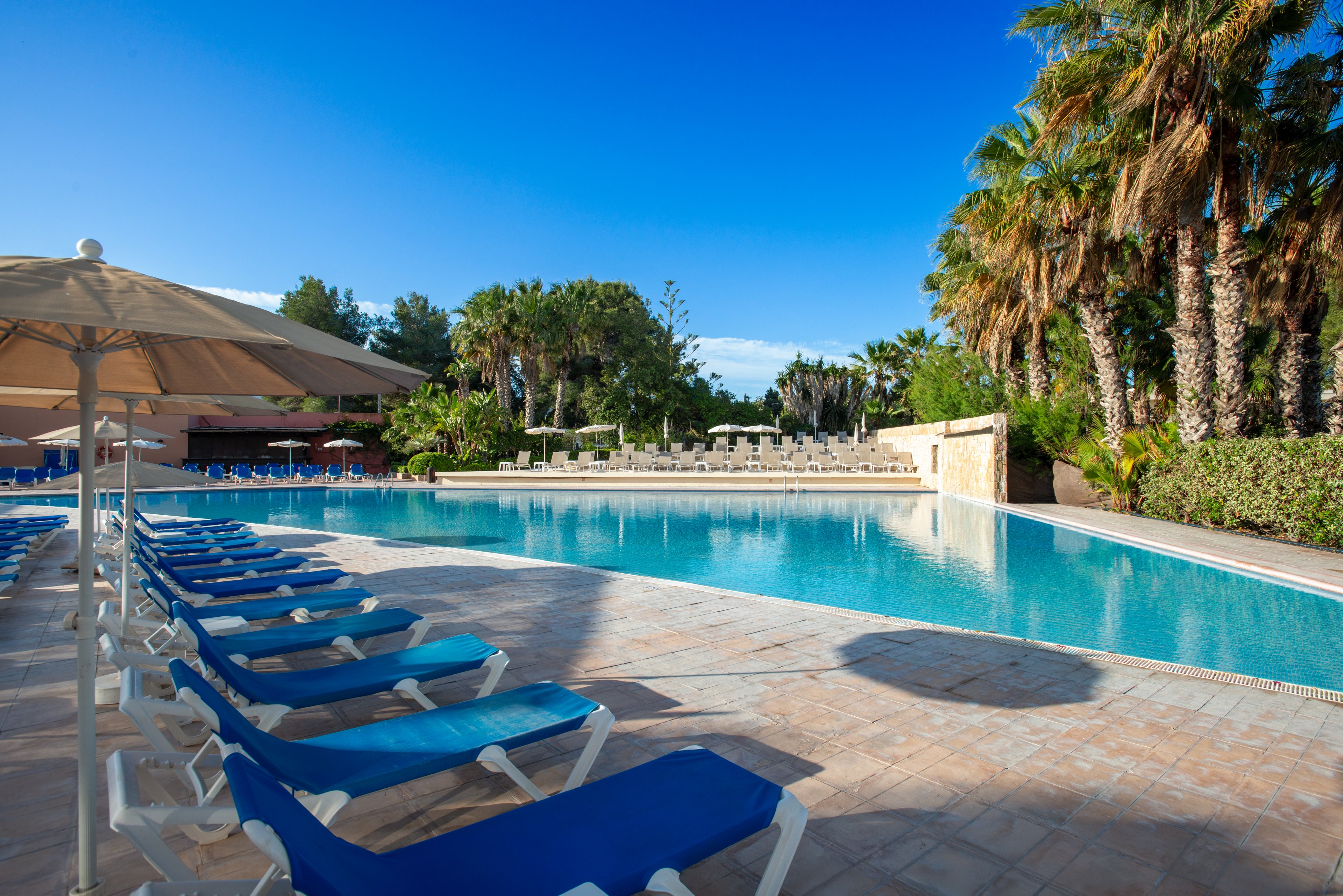 A large outdoor swimming pool is surrounded by rows of empty blue sun loungers and beige umbrellas. Tall palm trees and lush greenery frame the pool area, creating a tropical resort atmosphere. The clear blue sky and bright sunlight reflect on the calm water, emphasizing a peaceful vacation setting. No people are present, highlighting a quiet, relaxing moment by the pool.