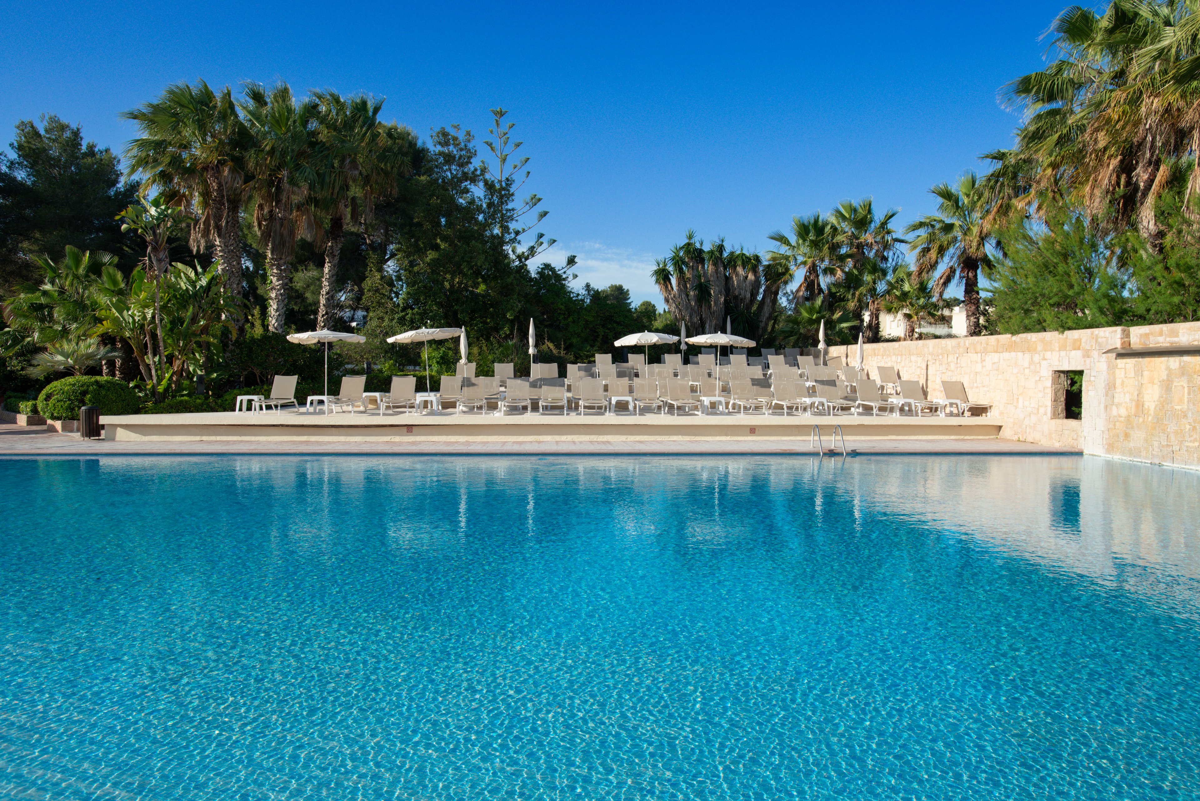 A large, clear blue swimming pool dominates the foreground under a bright, cloudless sky. In the background, rows of empty sun loungers and umbrellas line a stone terrace. Tall palm trees and lush greenery surround the pool area, creating a tropical resort atmosphere. The scene feels calm and inviting, suggesting a relaxing vacation destination.