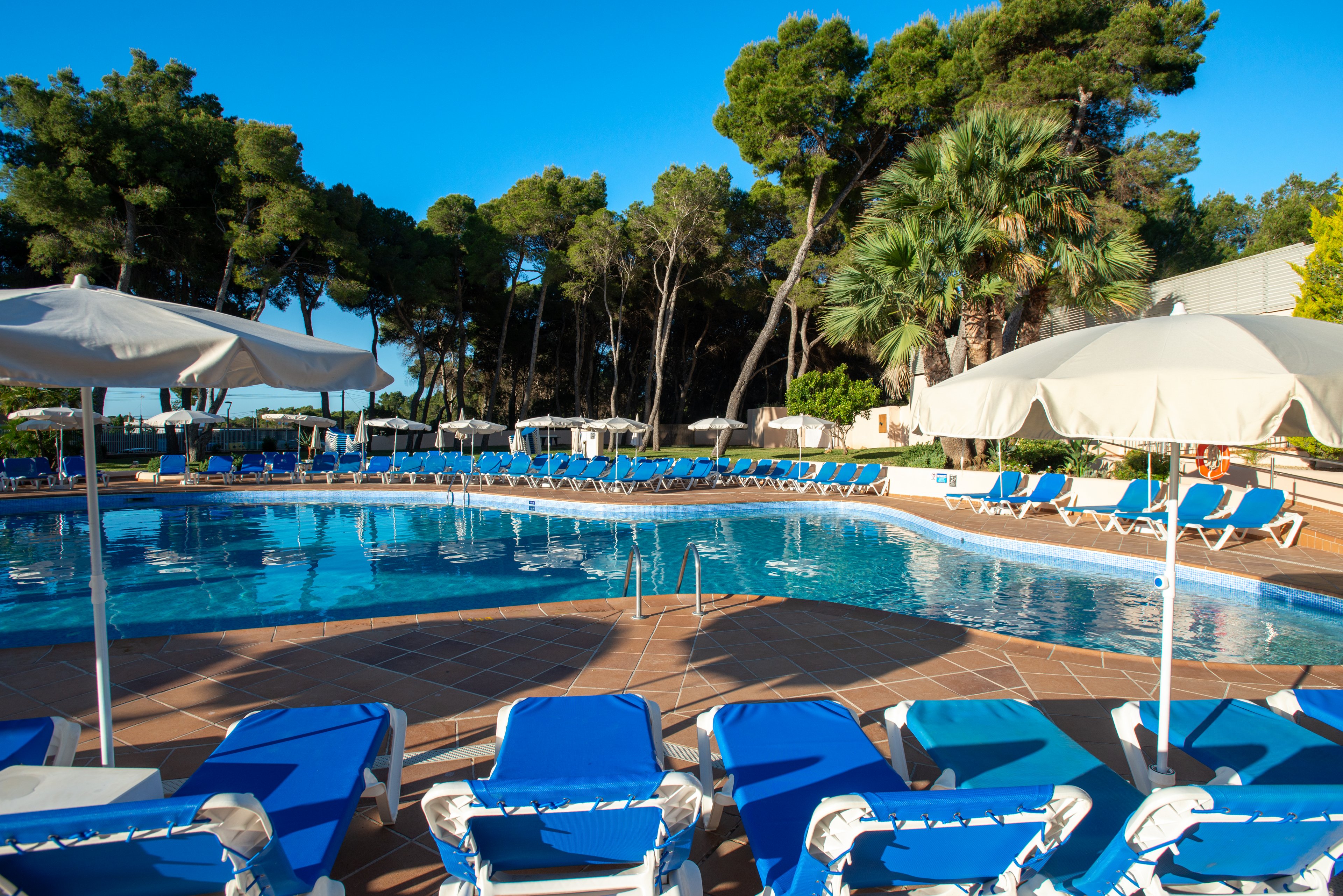 A curved outdoor swimming pool is surrounded by rows of blue sun loungers and white umbrellas. The scene appears to be part of a resort or hotel complex set among tall pine and palm trees. Clear blue water reflects the bright sky, creating a relaxing vacation atmosphere. No people are visible, emphasizing the tranquil and inviting setting.