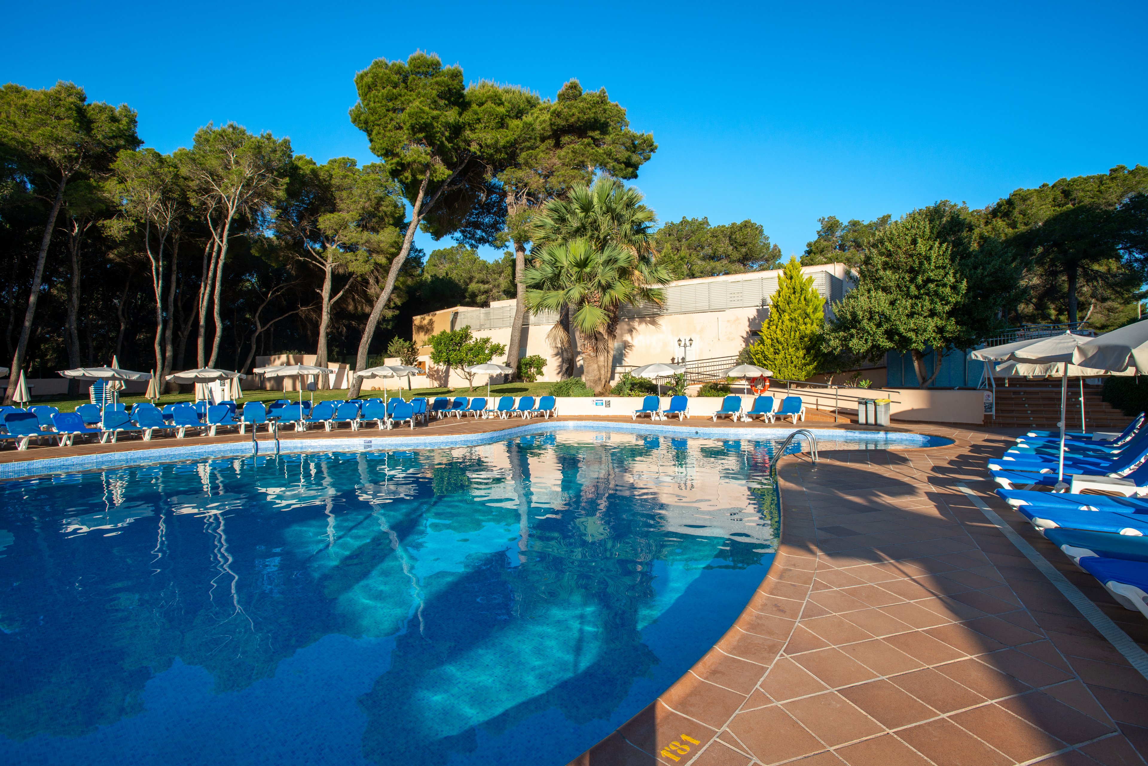 A large outdoor swimming pool curves through a sunny resort setting. Numerous blue sun loungers line the tiled pool deck, many shaded by white umbrellas. Tall pine and palm trees frame the background, with low resort buildings partially visible. The clear blue sky and calm water create a relaxed vacation atmosphere.