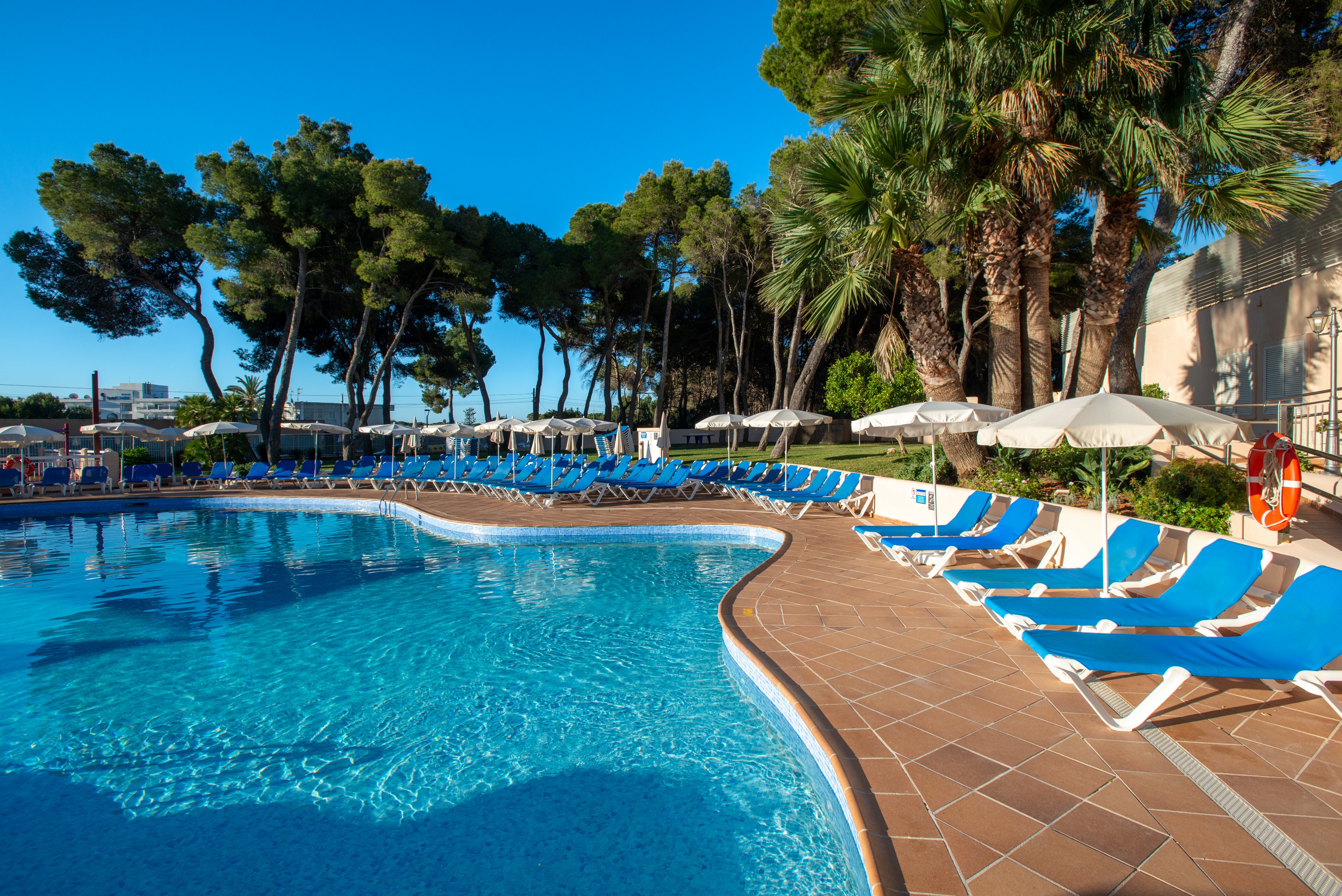 Large outdoor swimming pool at a resort is surrounded by rows of blue sun loungers and white umbrellas. The clear blue water reflects the bright sky, creating a refreshing vacation atmosphere. Tall palm trees and other greenery frame the pool area, adding a tropical feel. The scene is calm and empty, suggesting an early morning or quiet time at the resort.