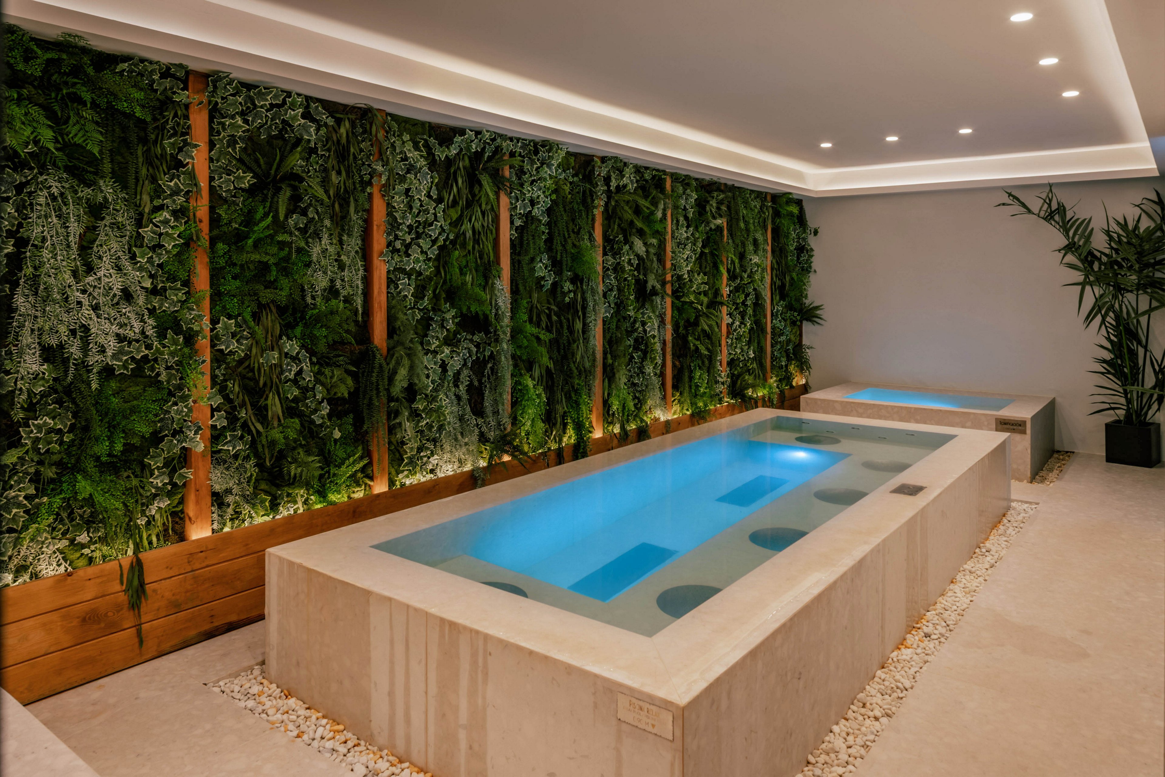 A sleek rectangular spa pool glows with soft blue lighting in a contemporary indoor setting. The pool is surrounded by smooth concrete edges and white decorative stones. A lush vertical garden wall with various green plants runs along one side, adding a natural contrast to the minimalist design. Recessed ceiling lights and warm indirect lighting create a calm, luxurious atmosphere.