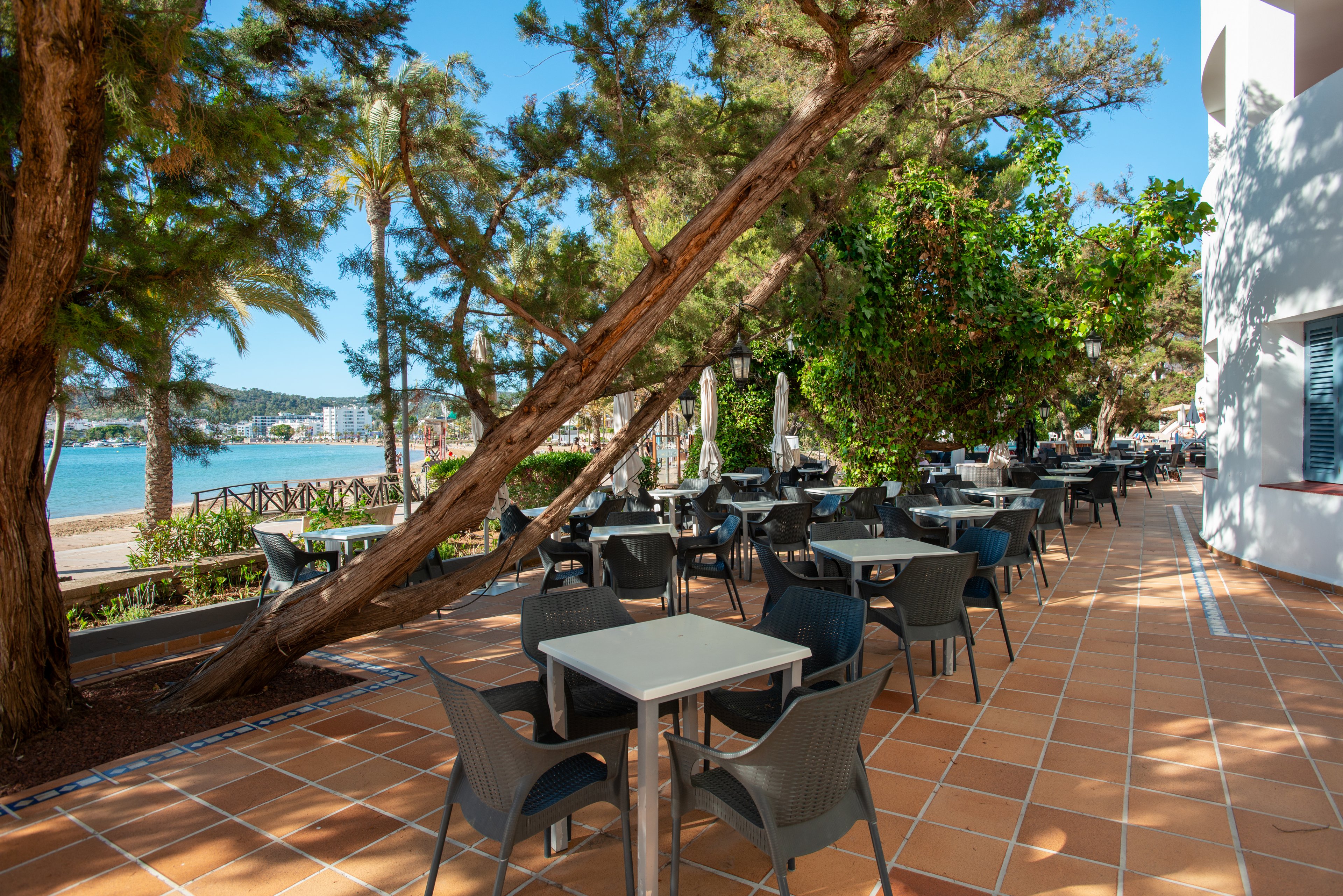 An empty outdoor cafe terrace is set with square tables and dark chairs under tall trees. The tiled patio stretches along a waterfront promenade with views of the sea and distant shoreline buildings. Sunlight filters through the foliage, creating dappled shadows across the terracotta floor. The scene feels calm and inviting, suggesting a relaxed coastal dining experience.