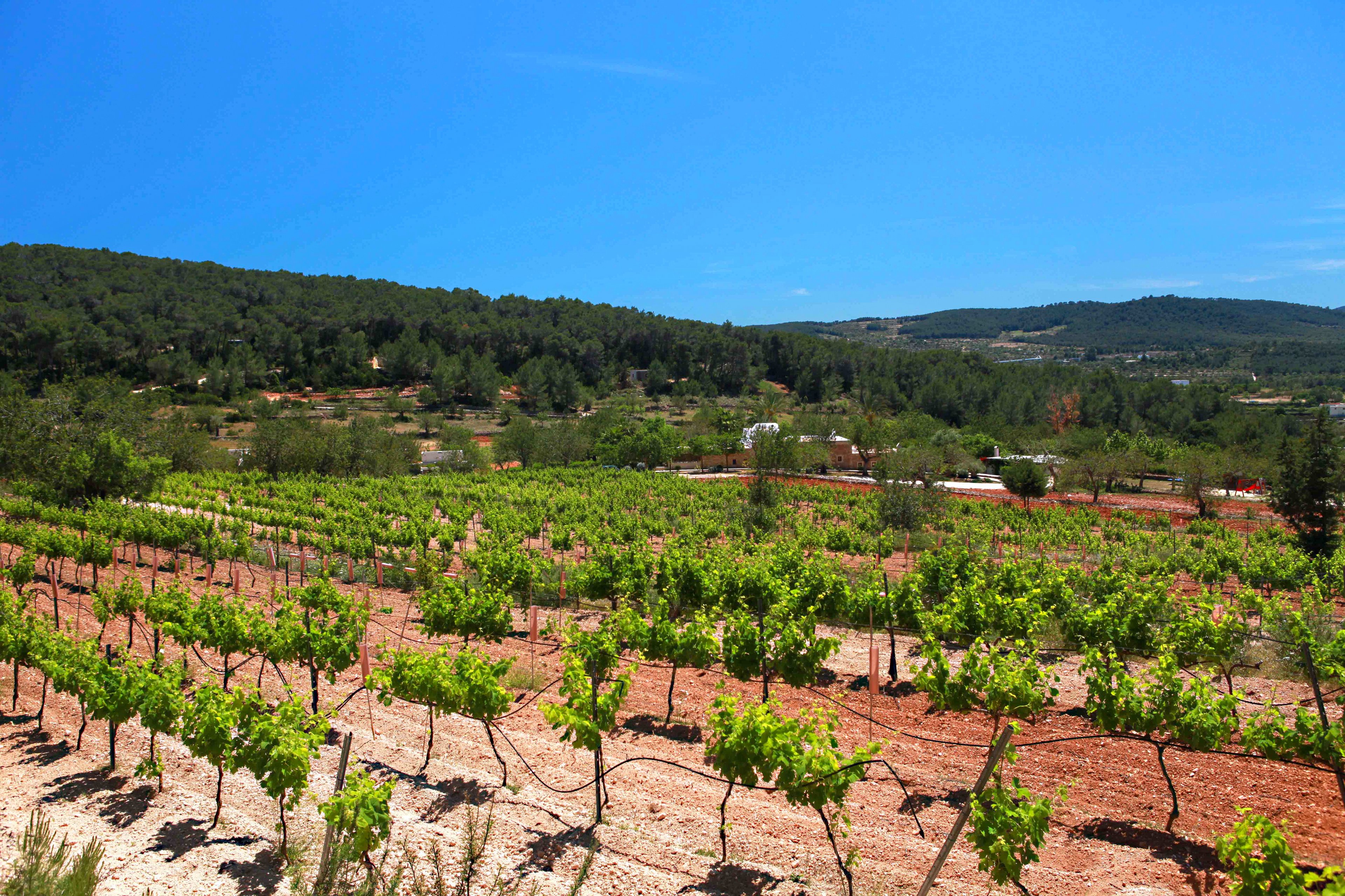 Agroturismo Can Lluc Hotel