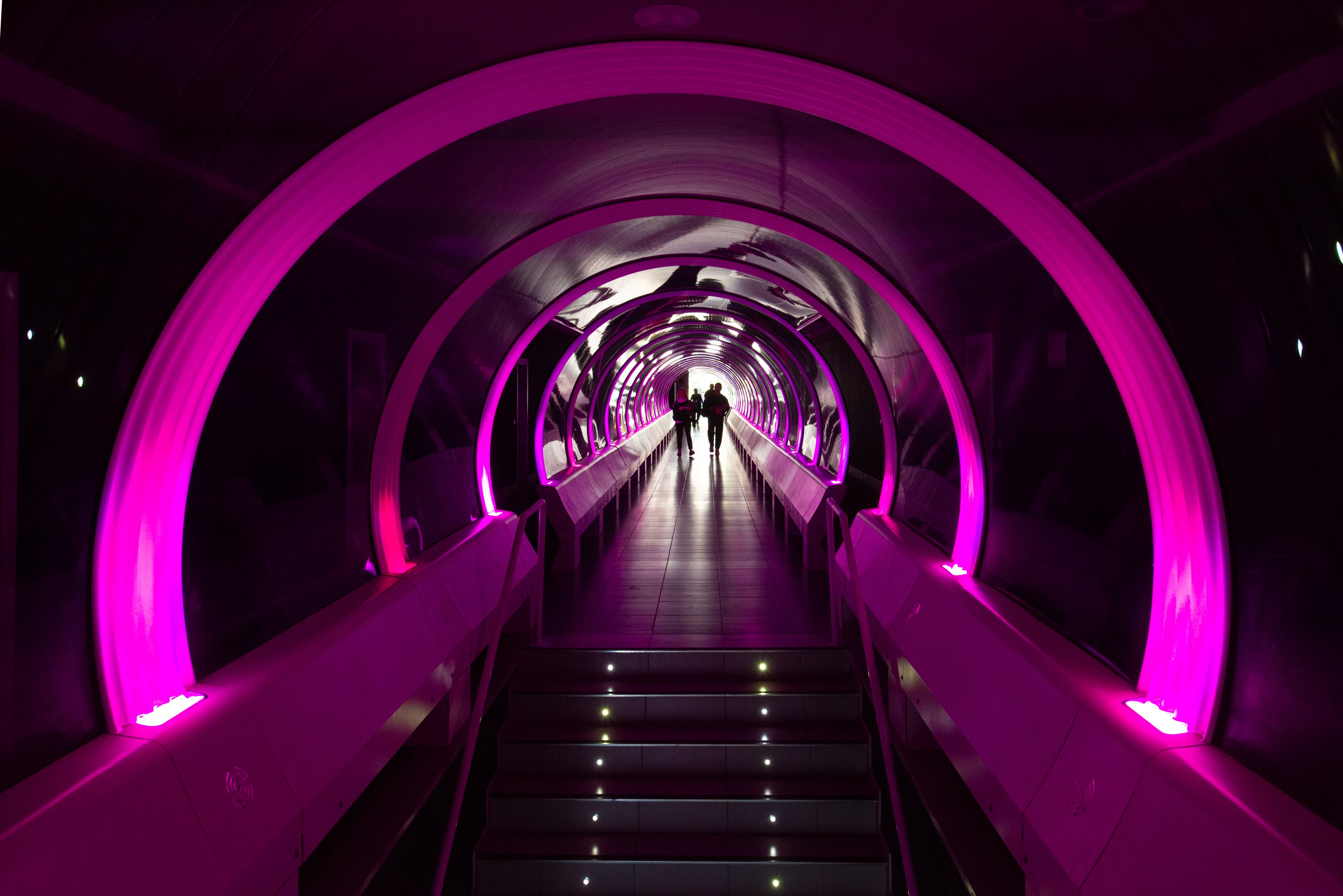 Two people walk hand in hand through a brightly lit tunnel with a futuristic design. The arched passageway glows with vivid pink and purple lights, creating a sci-fi atmosphere. Illuminated steps and small floor lights lead toward a bright opening at the end of the tunnel. The strong backlighting turns the figures into dark silhouettes, emphasizing the dramatic perspective and depth.