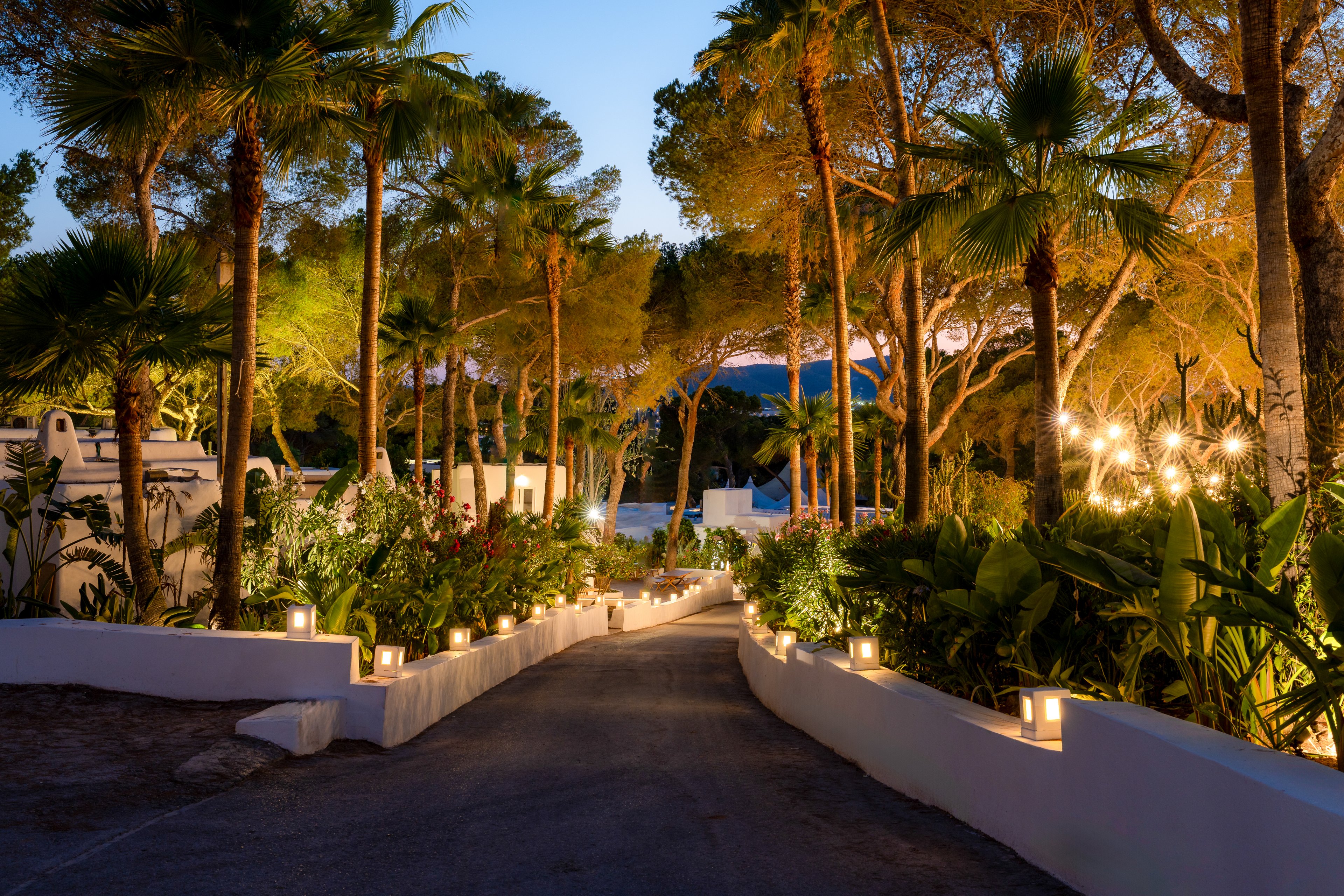 FERGUS Style Punta Arabi