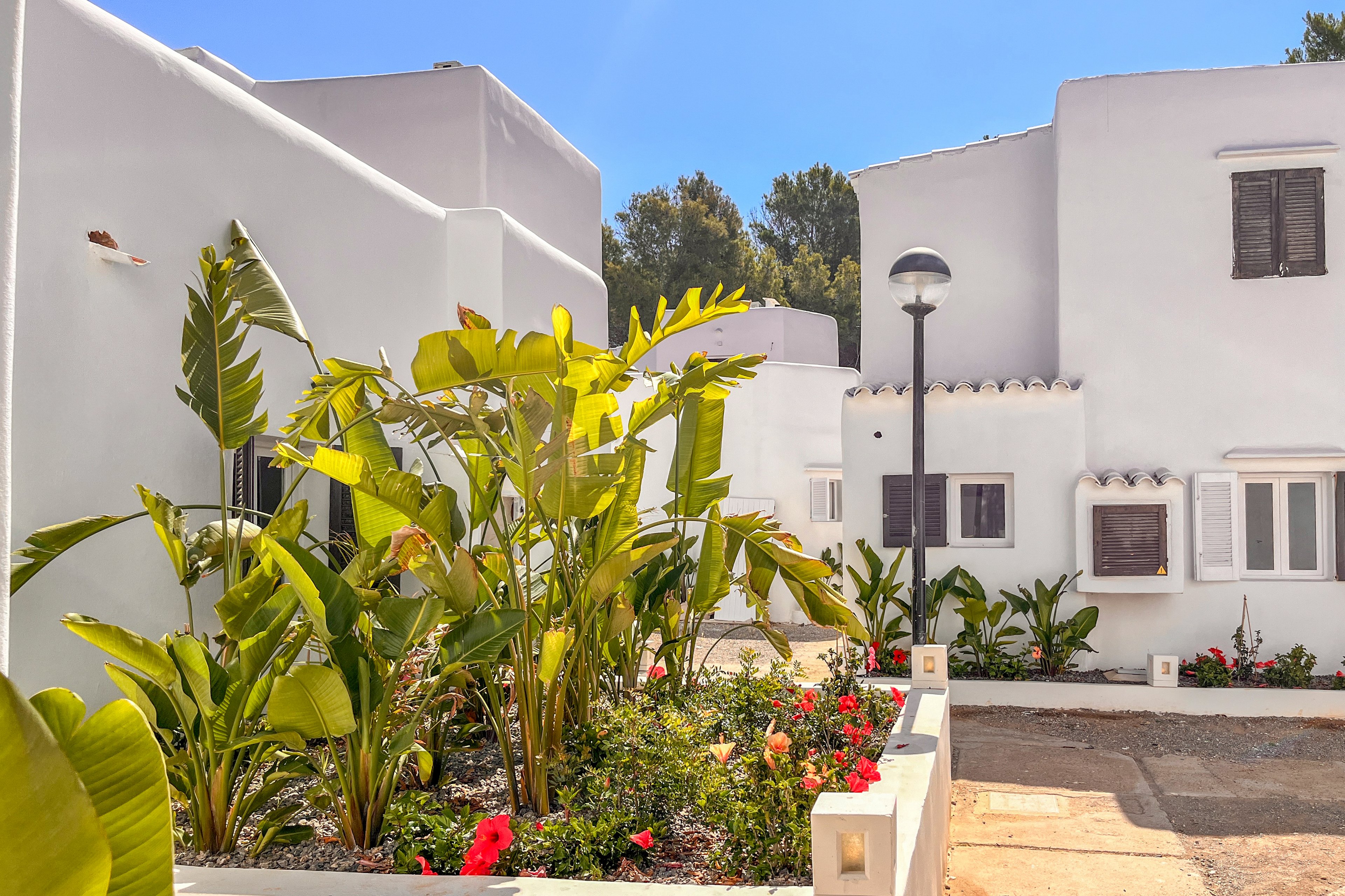 FERGUS Style Punta Arabi