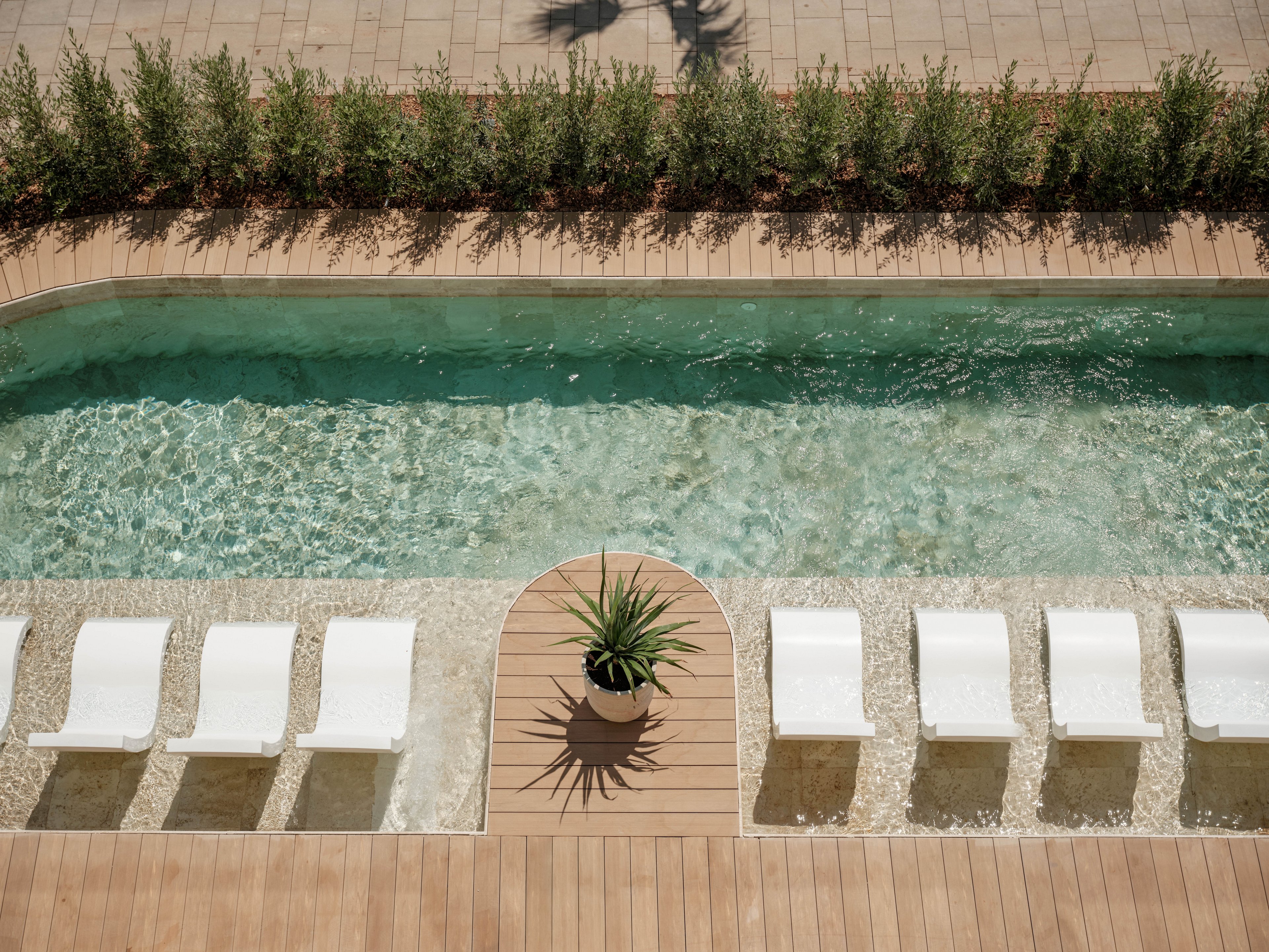 An overhead view shows a narrow swimming pool bordered by light wooden decking. A row of white sun loungers sits partially submerged in shallow water along one side of the pool. At the center, a circular deck section features a potted green plant casting a strong shadow. Tall shrubs line the far edge, creating a clean, contemporary outdoor relaxation setting.